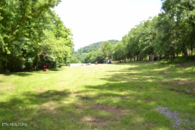 425 Baugh Hollow Lane Gainesboro TN 38562