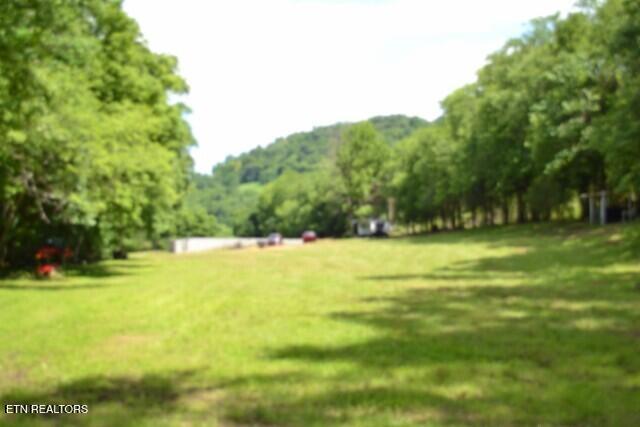 425 Baugh Hollow Lane Gainesboro TN 38562
