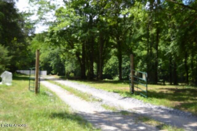425 Baugh Hollow Lane Gainesboro TN 38562
