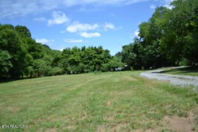 425 Baugh Hollow Lane Gainesboro TN 38562