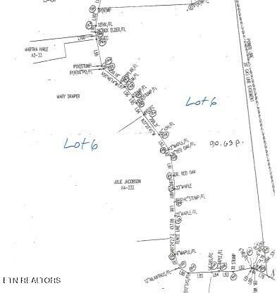 425 Baugh Hollow Lane Gainesboro TN 38562