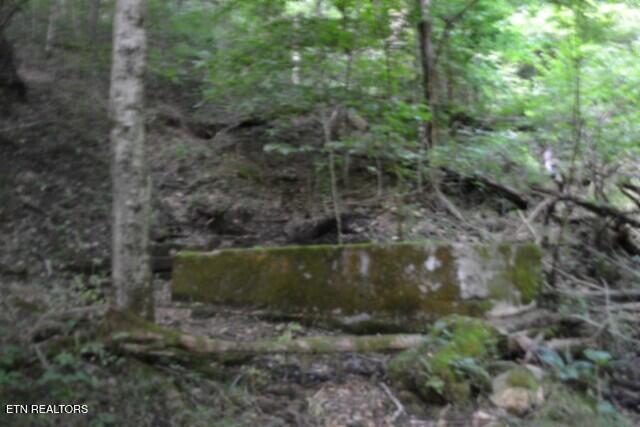 425 Baugh Hollow Lane Gainesboro TN 38562