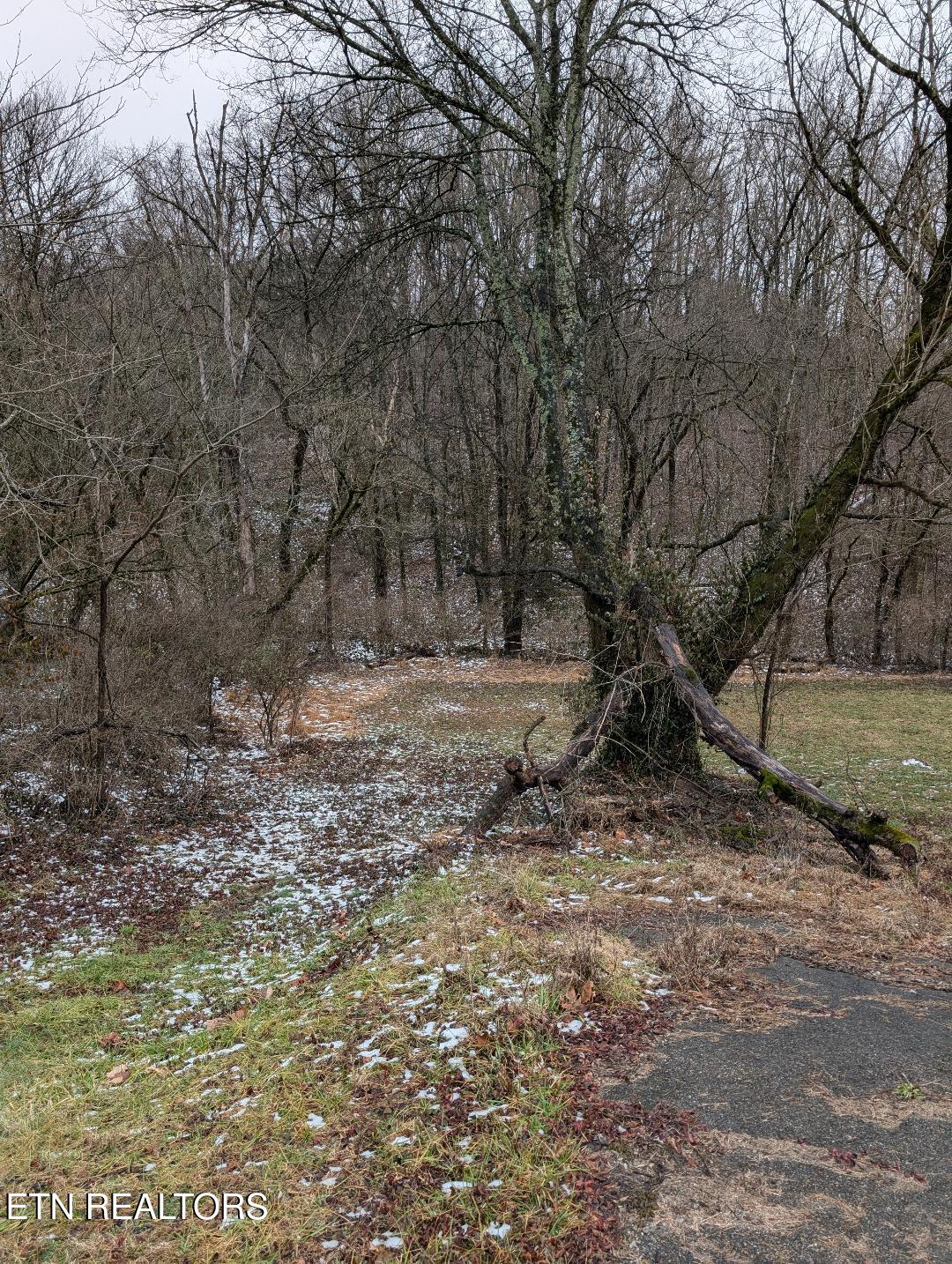 0 Rutledge Pike Corryton TN 37721