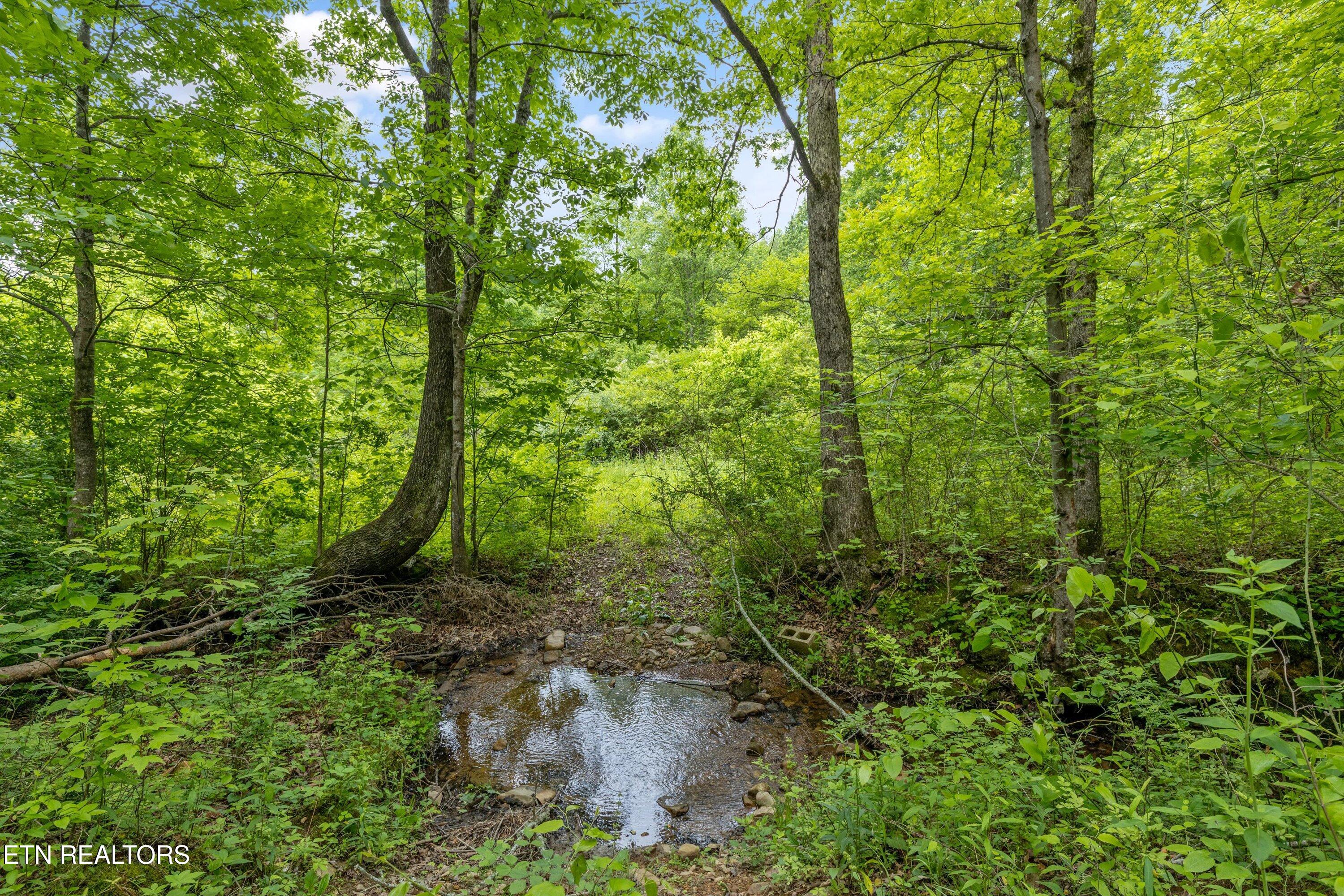 6028 Happy Valley Road Tallassee TN 37878
