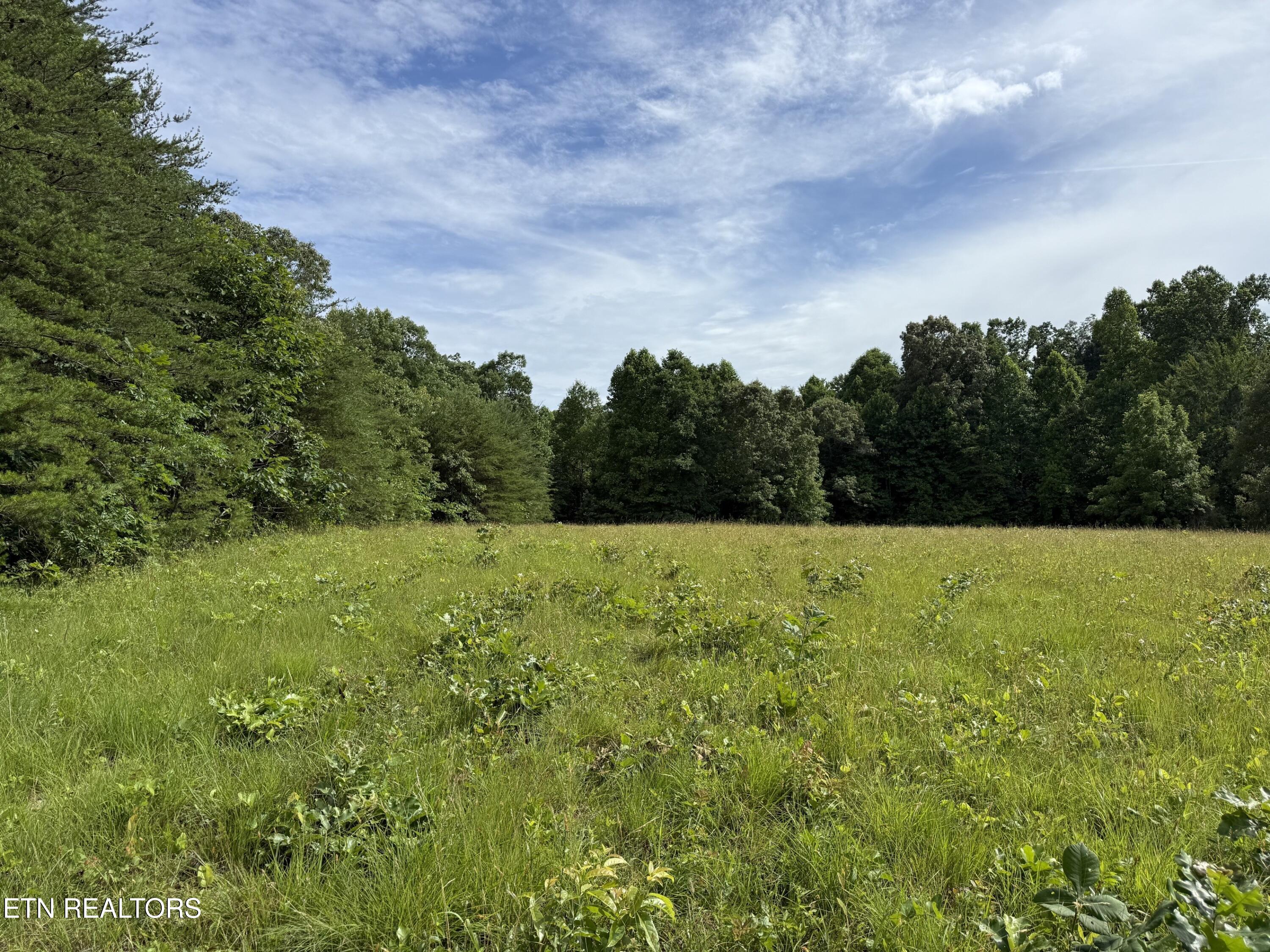 Clear Creek Road 41 Acres Crossville TN 38571