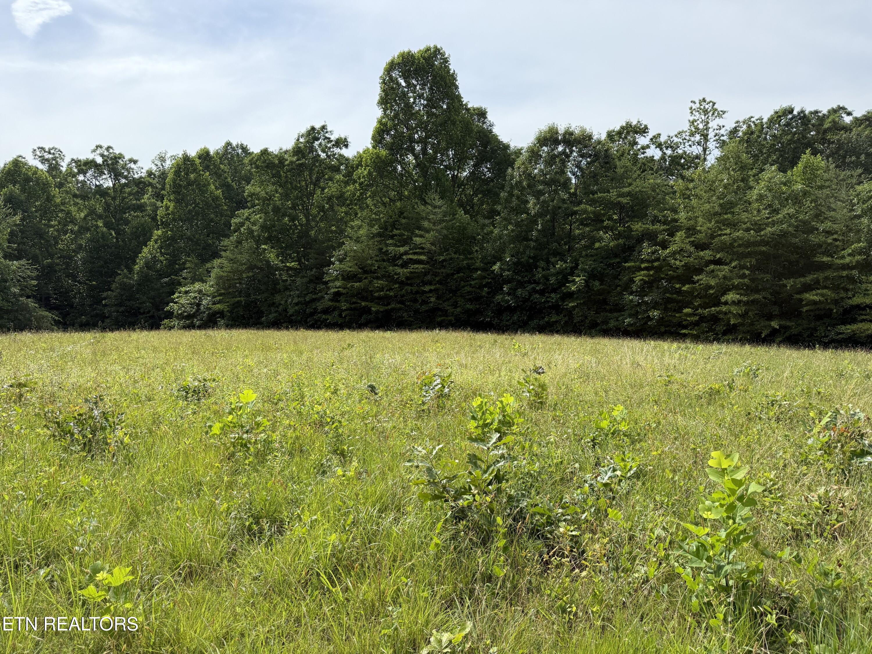 Clear Creek Road 41 Acres Crossville TN 38571