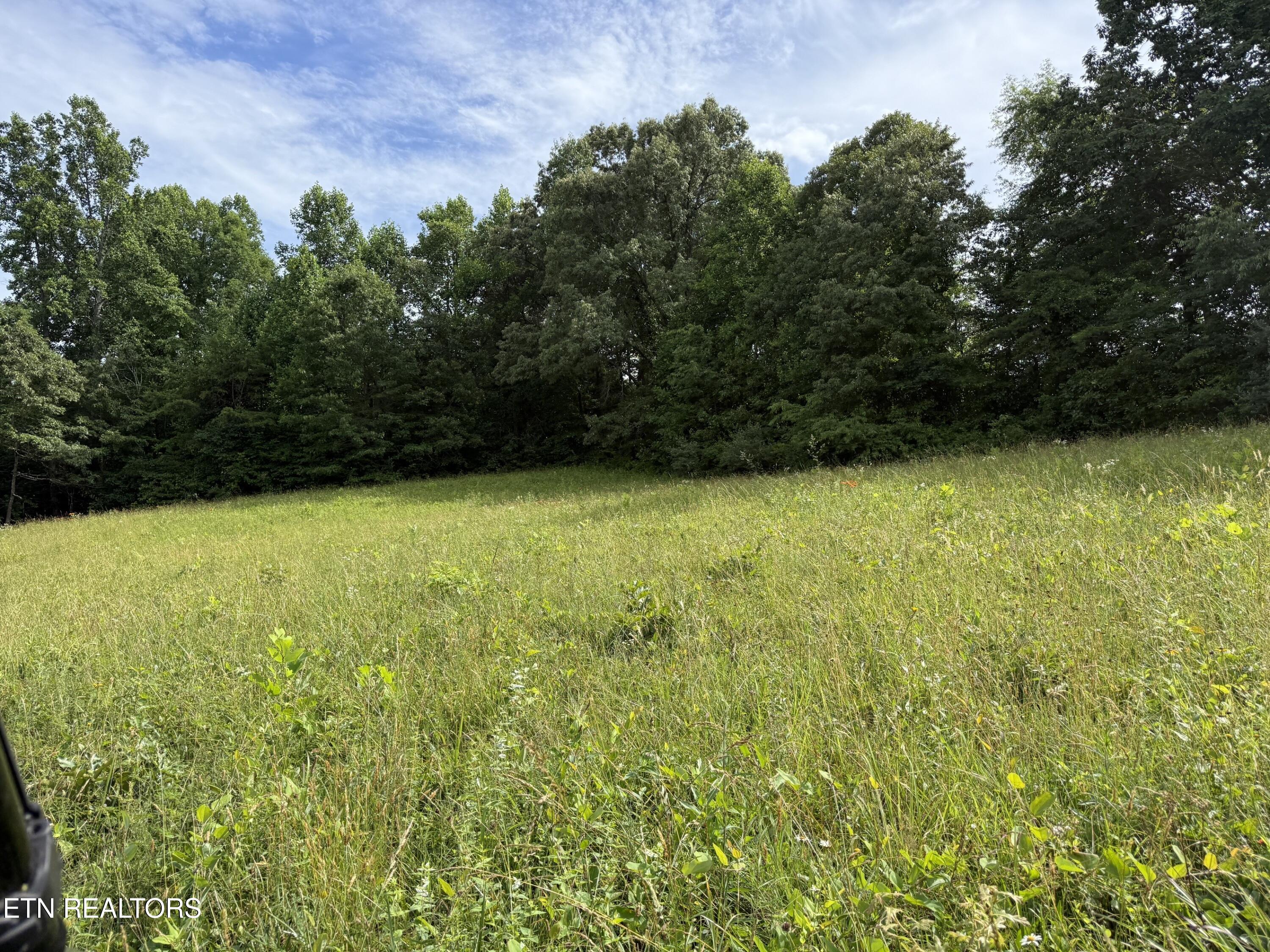 Clear Creek Road 41 Acres Crossville TN 38571