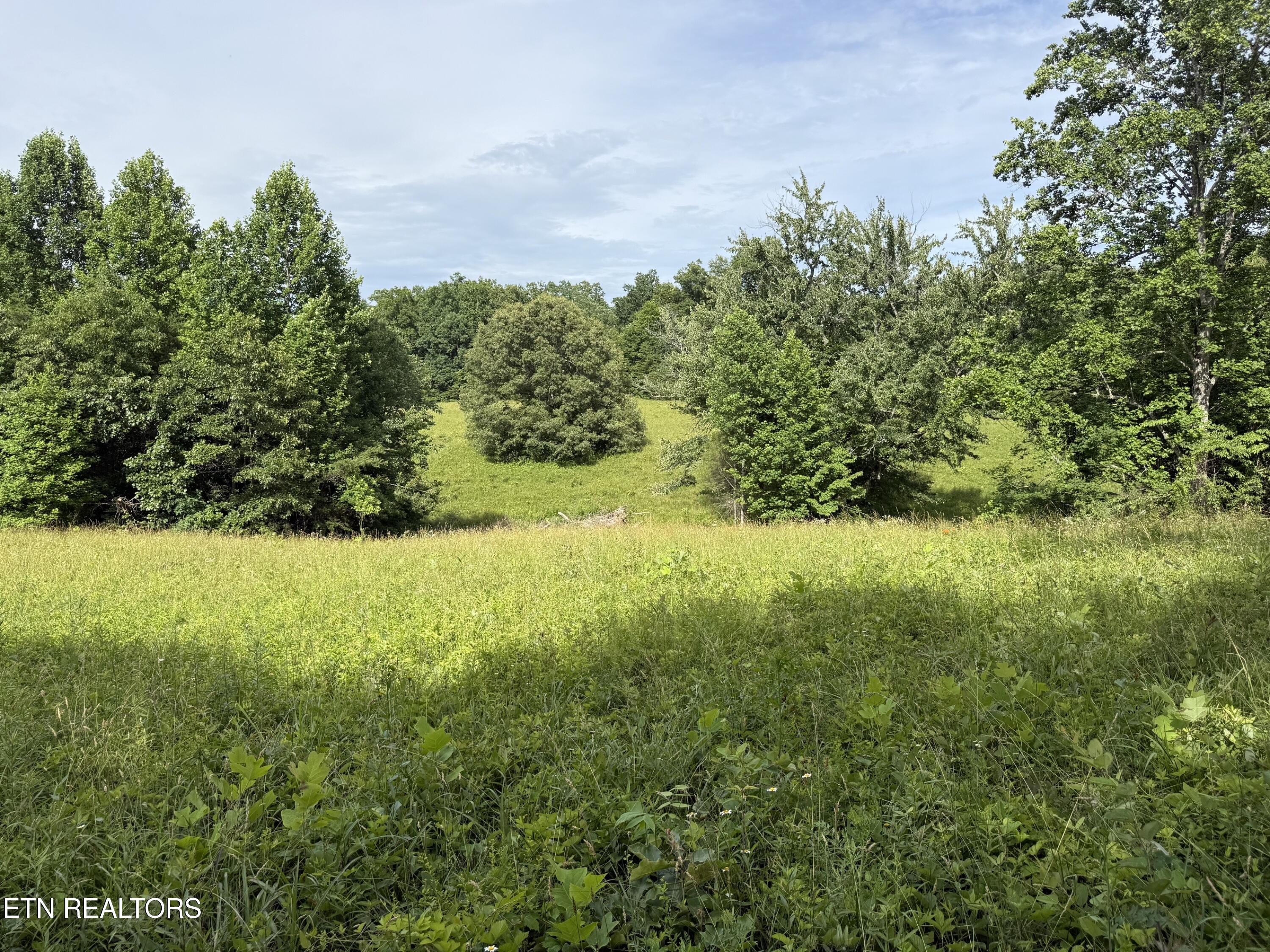 Clear Creek Road 41 Acres Crossville TN 38571