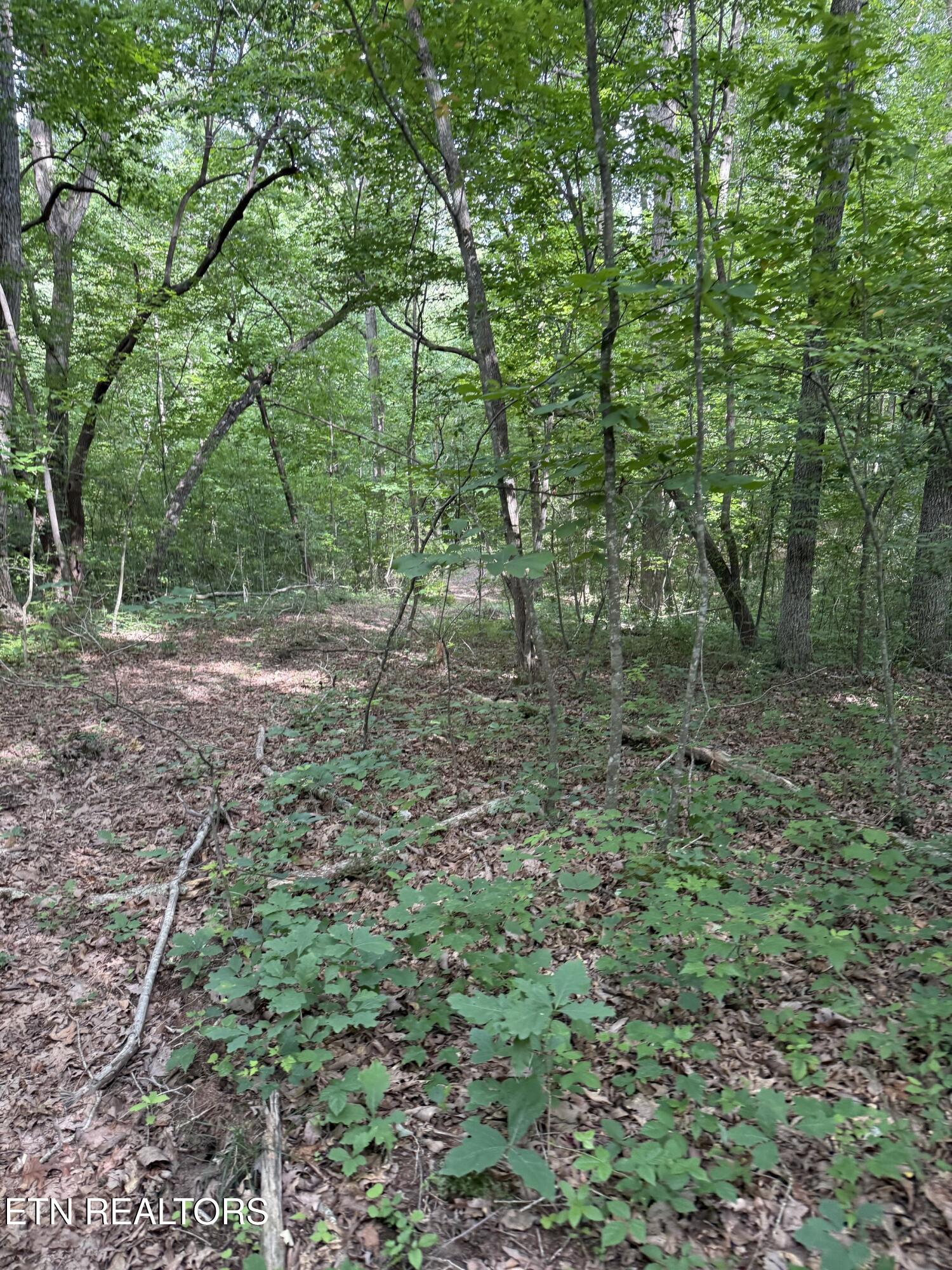 Clear Creek Road 41 Acres Crossville TN 38571