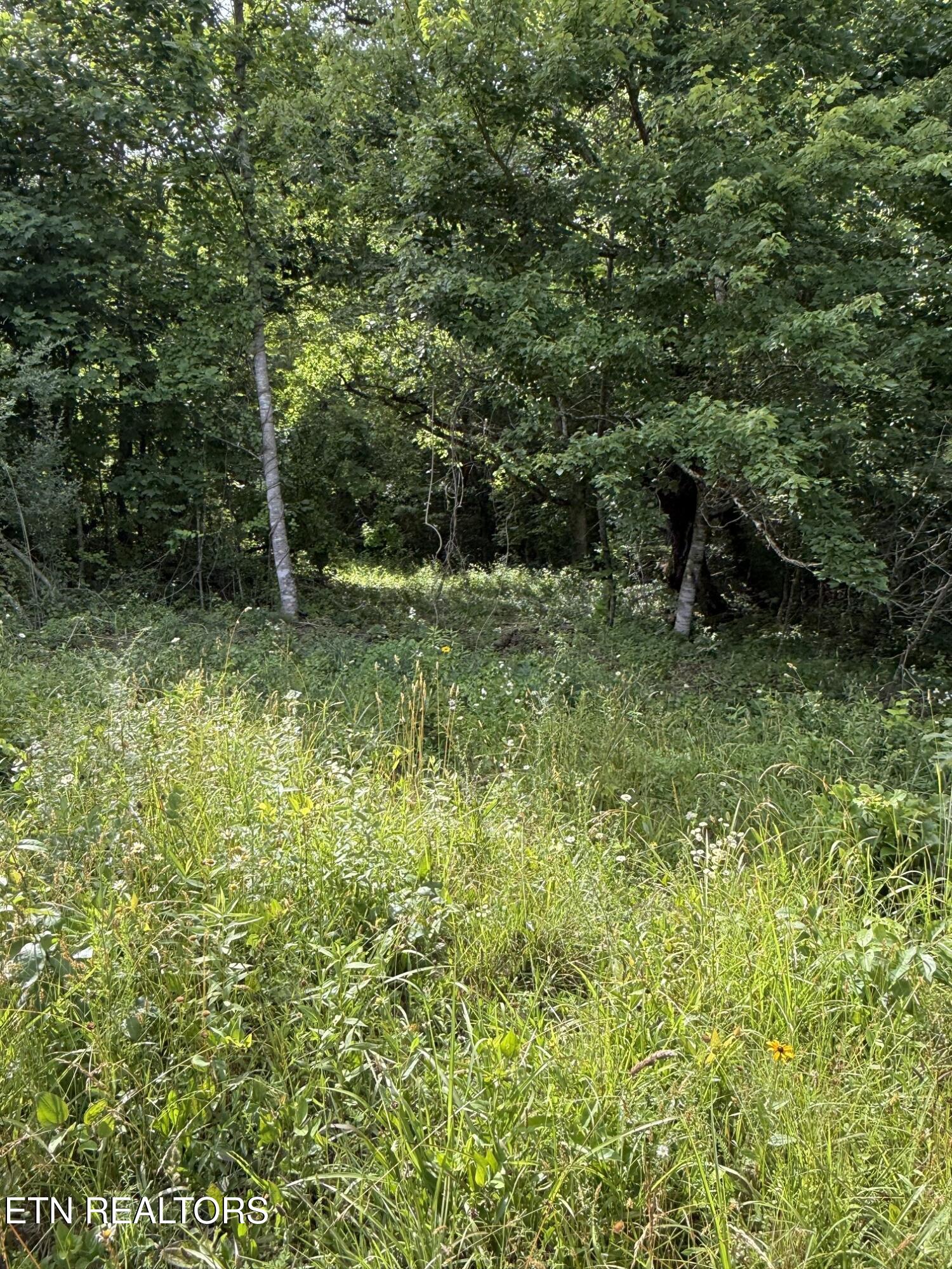 Clear Creek Road 41 Acres Crossville TN 38571