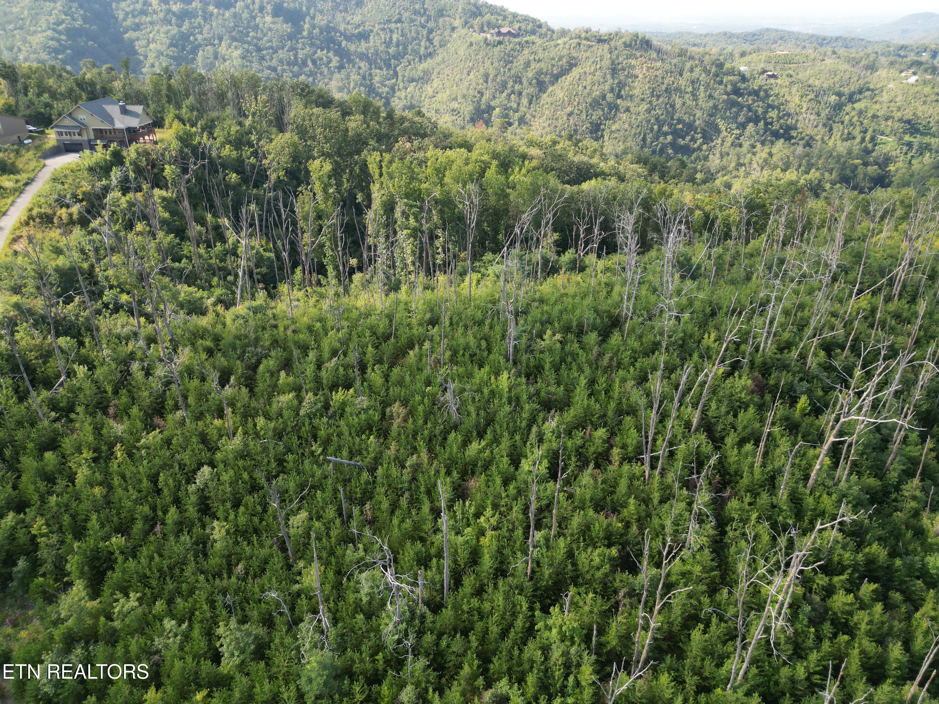 Wiley Oakley Drive Gatlinburg TN 37738