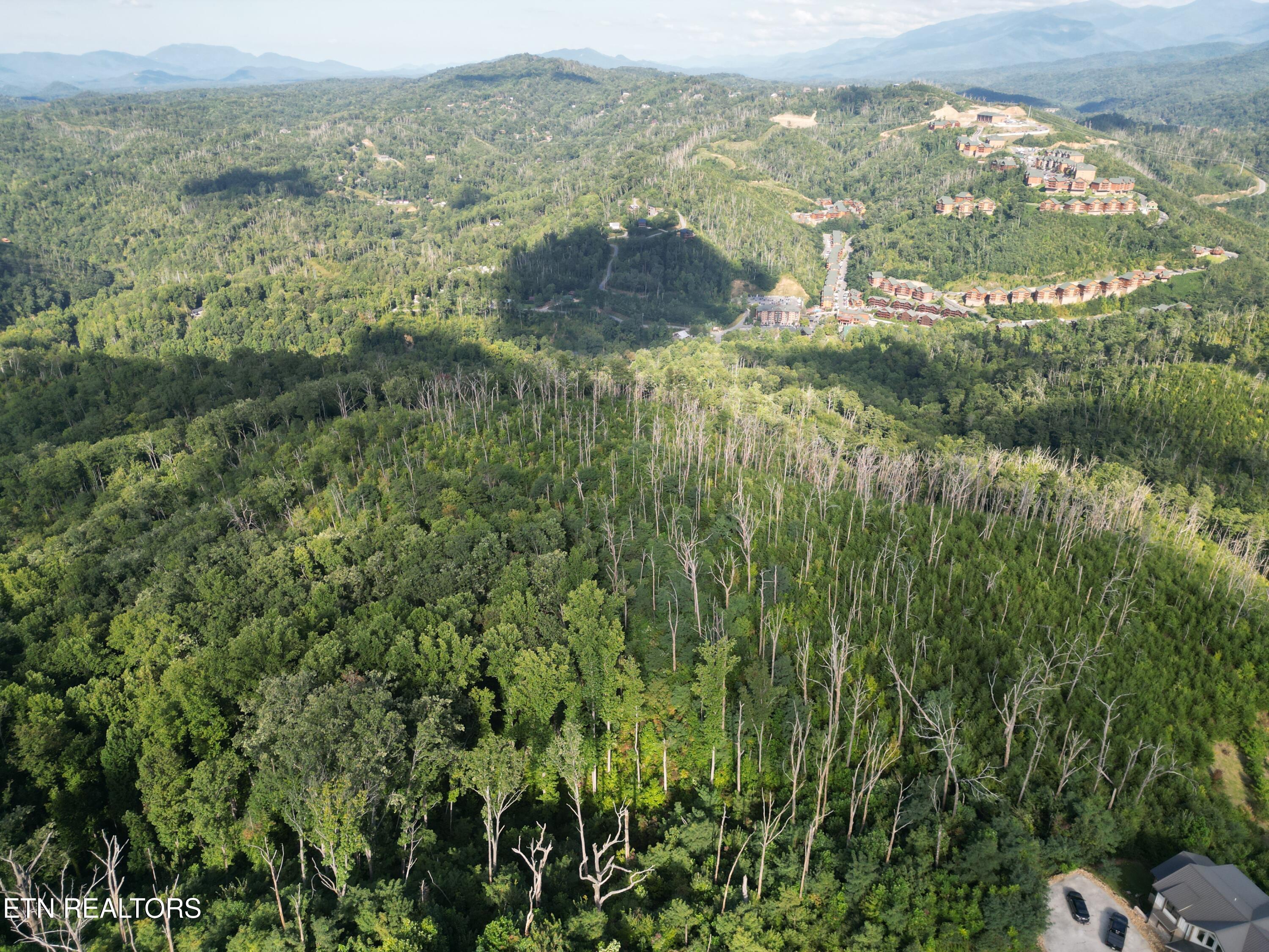 Wiley Oakley Drive Gatlinburg TN 37738