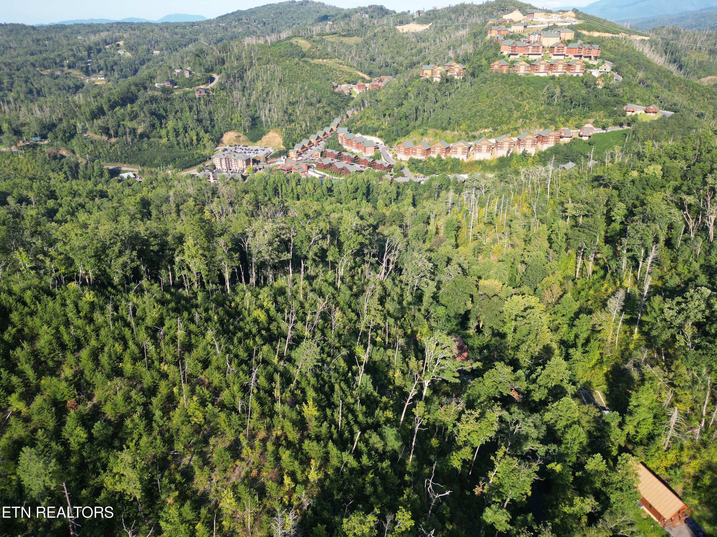Wiley Oakley Drive Gatlinburg TN 37738
