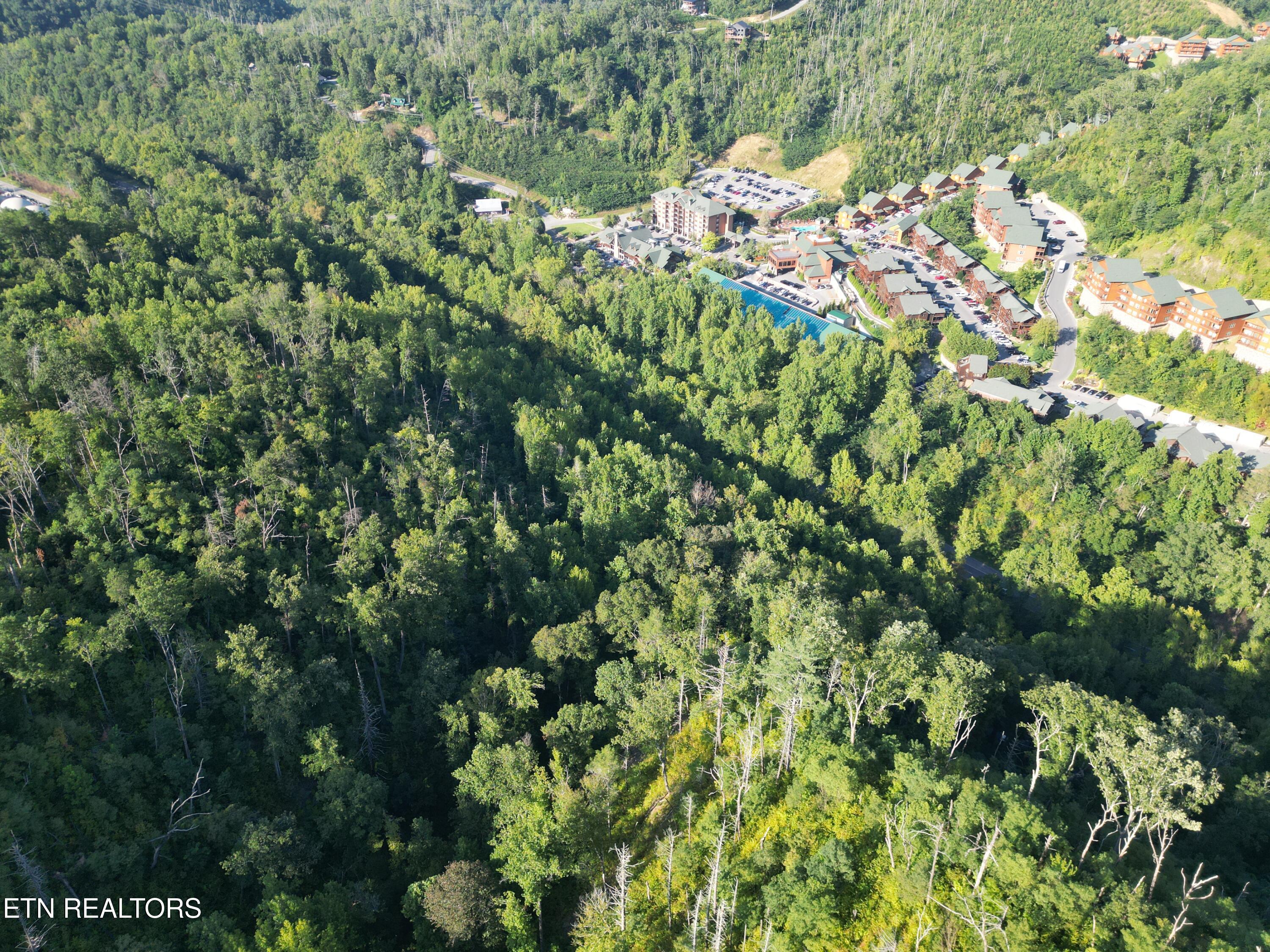 Wiley Oakley Drive Gatlinburg TN 37738