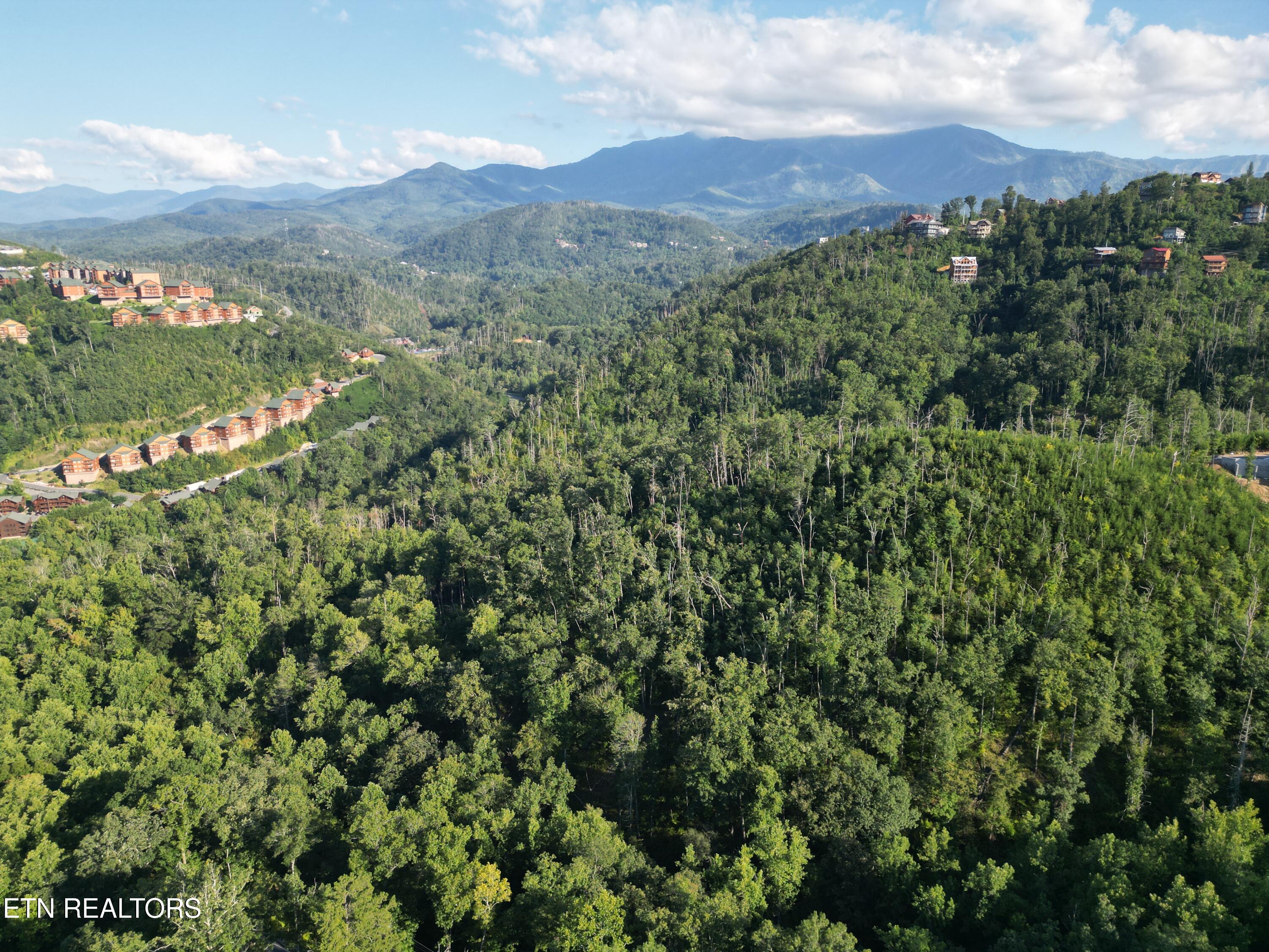 Wiley Oakley Drive Gatlinburg TN 37738