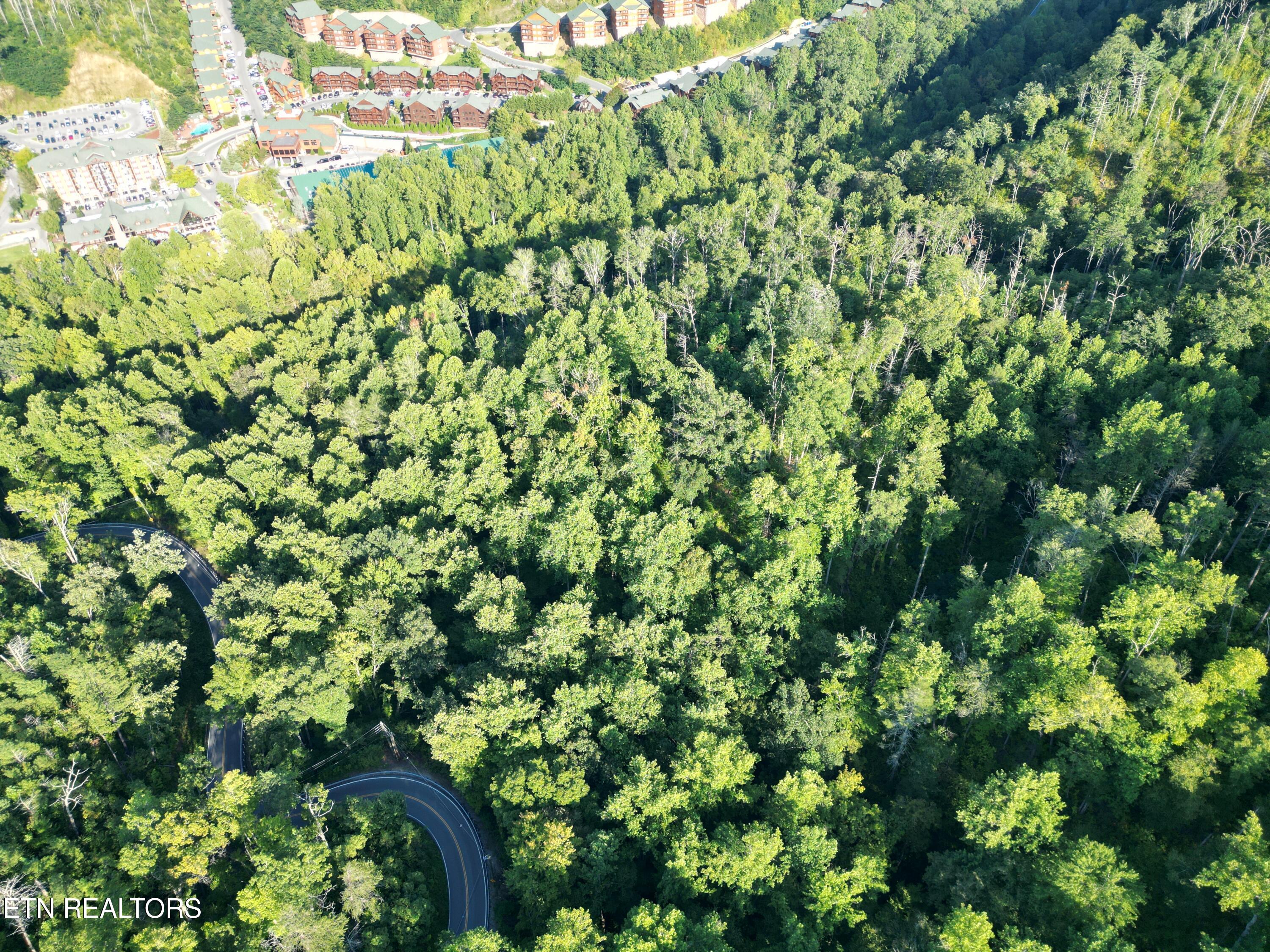 Wiley Oakley Drive Gatlinburg TN 37738