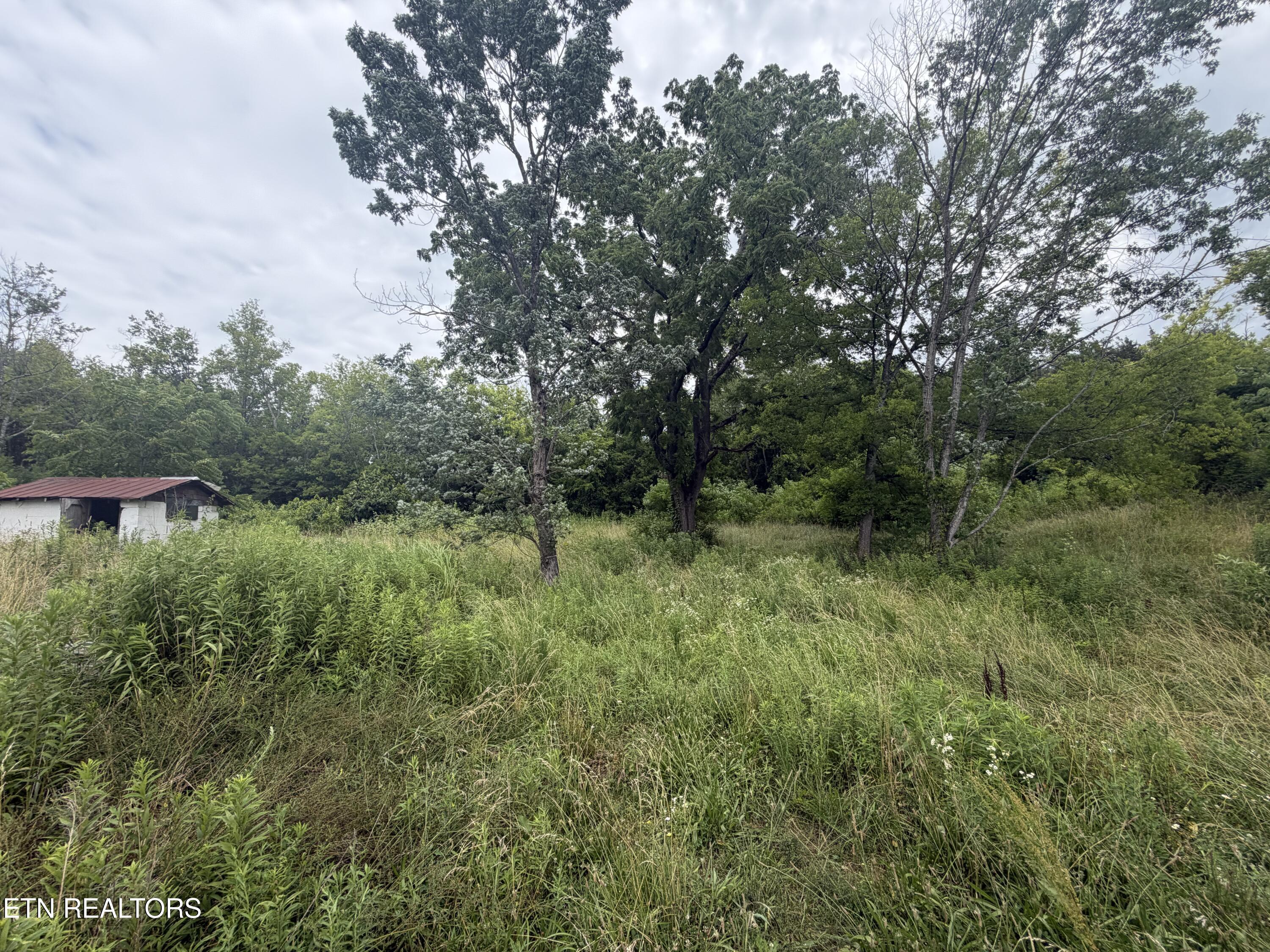 1366 Old Newport Highway Dandridge TN 37725