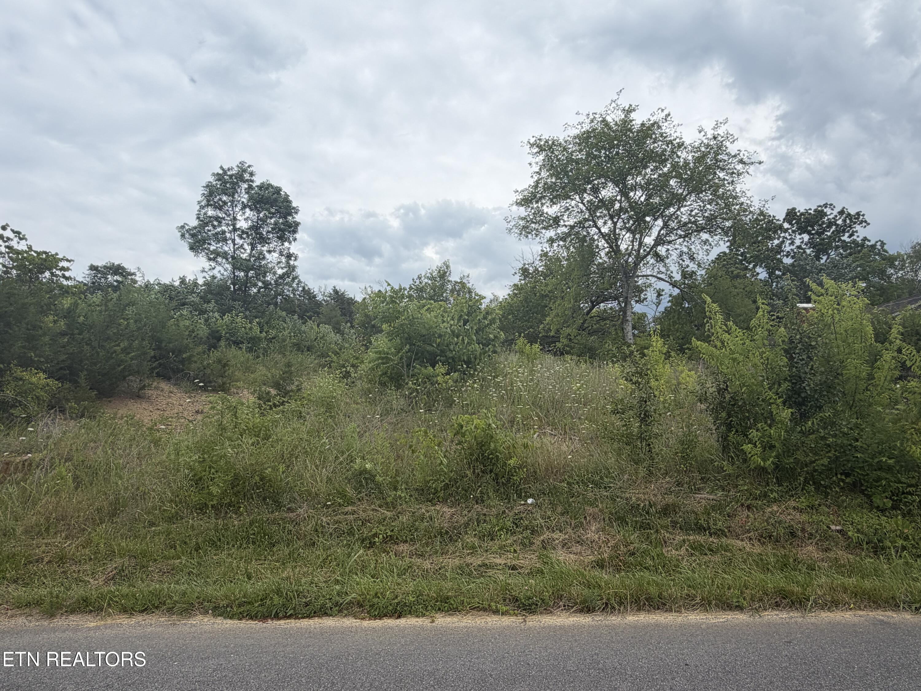 1366 Old Newport Highway Dandridge TN 37725