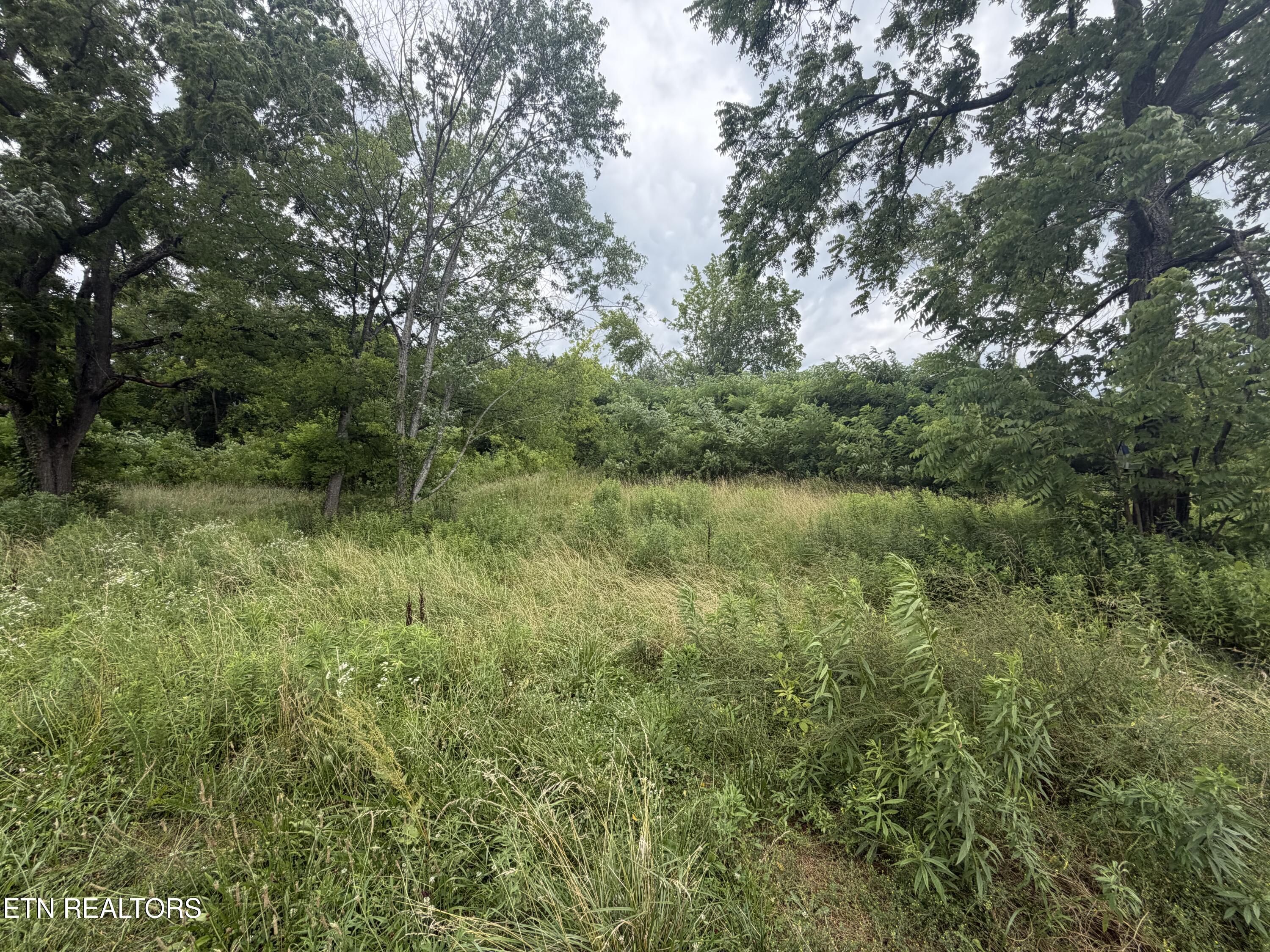 1366 Old Newport Highway Dandridge TN 37725