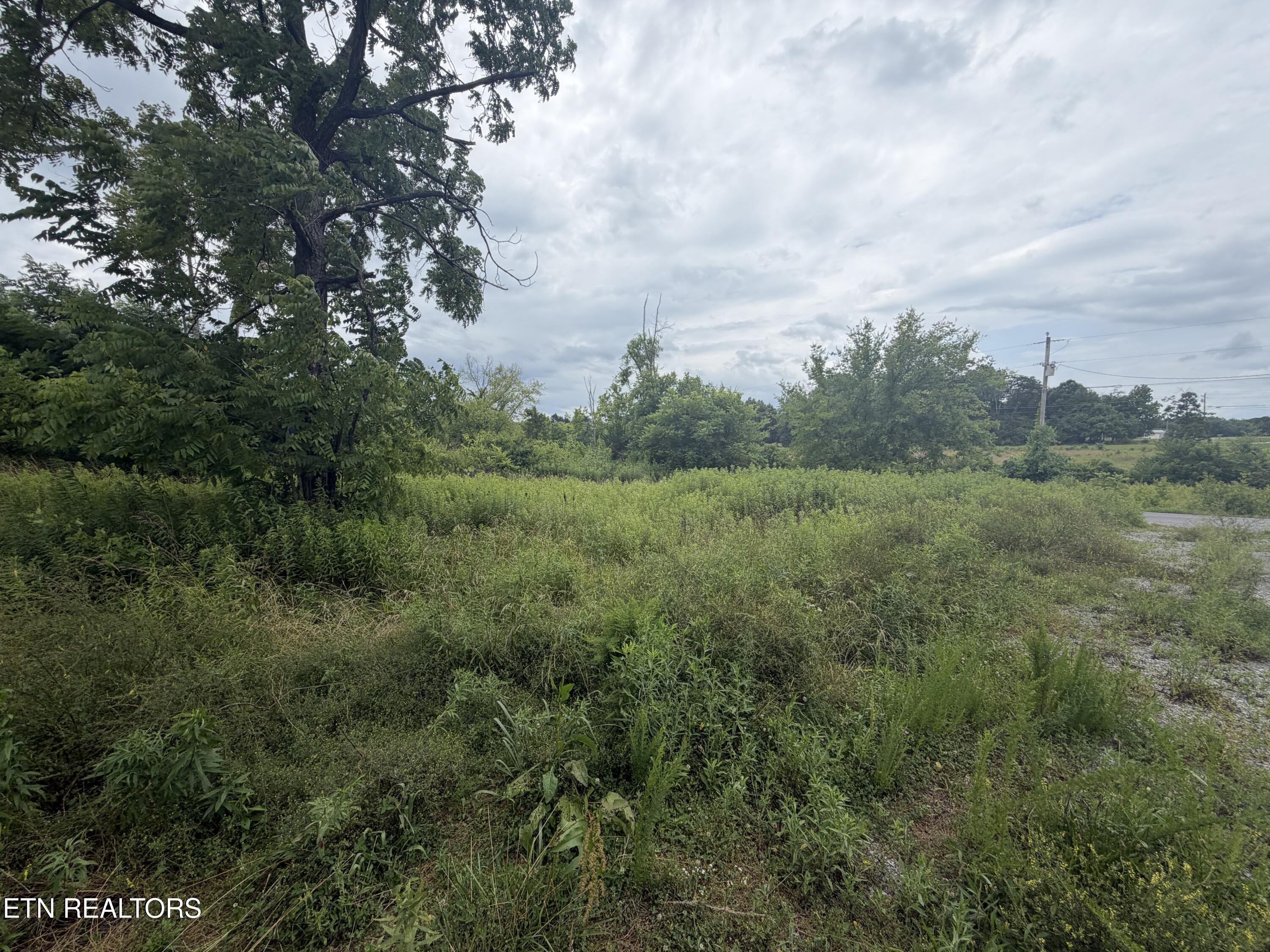1366 Old Newport Highway Dandridge TN 37725