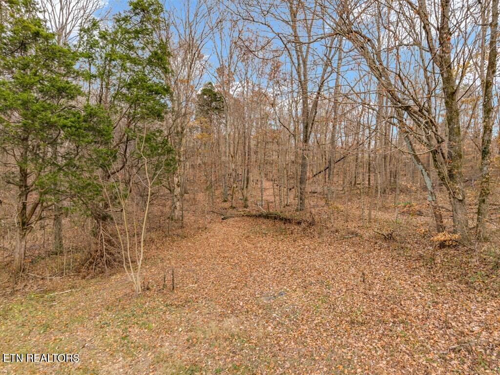 4934 N York Highway Pall Mall TN 38577