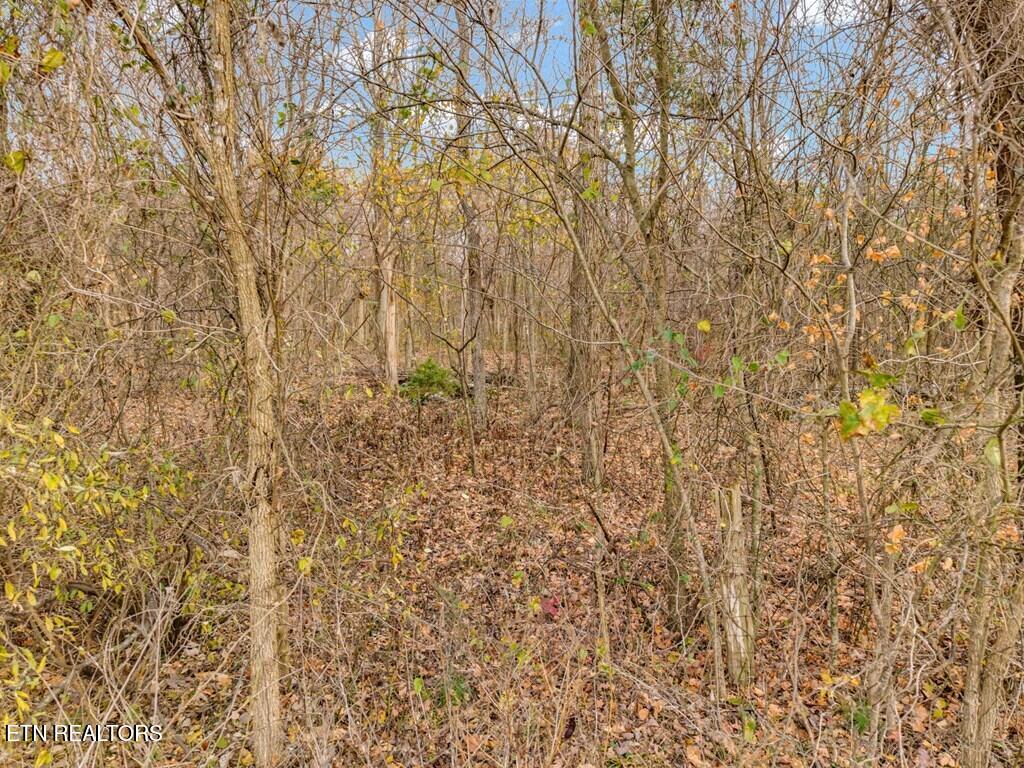 4934 N York Highway Pall Mall TN 38577