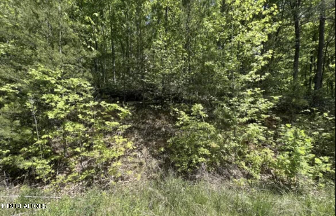 Lot 23 Green Meadows Drive Sevierville TN 37876