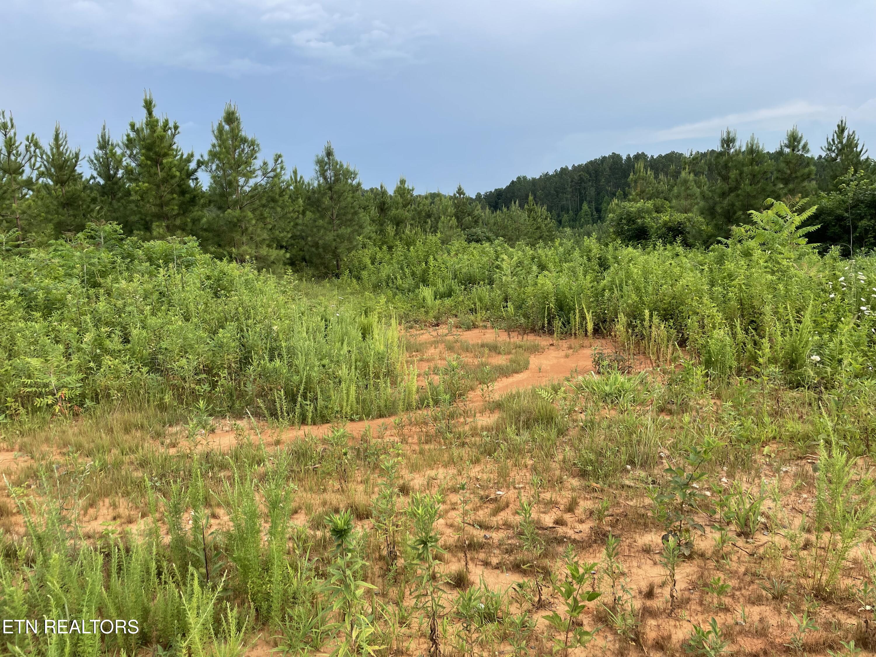 Millsaps Road Madisonville TN 37354