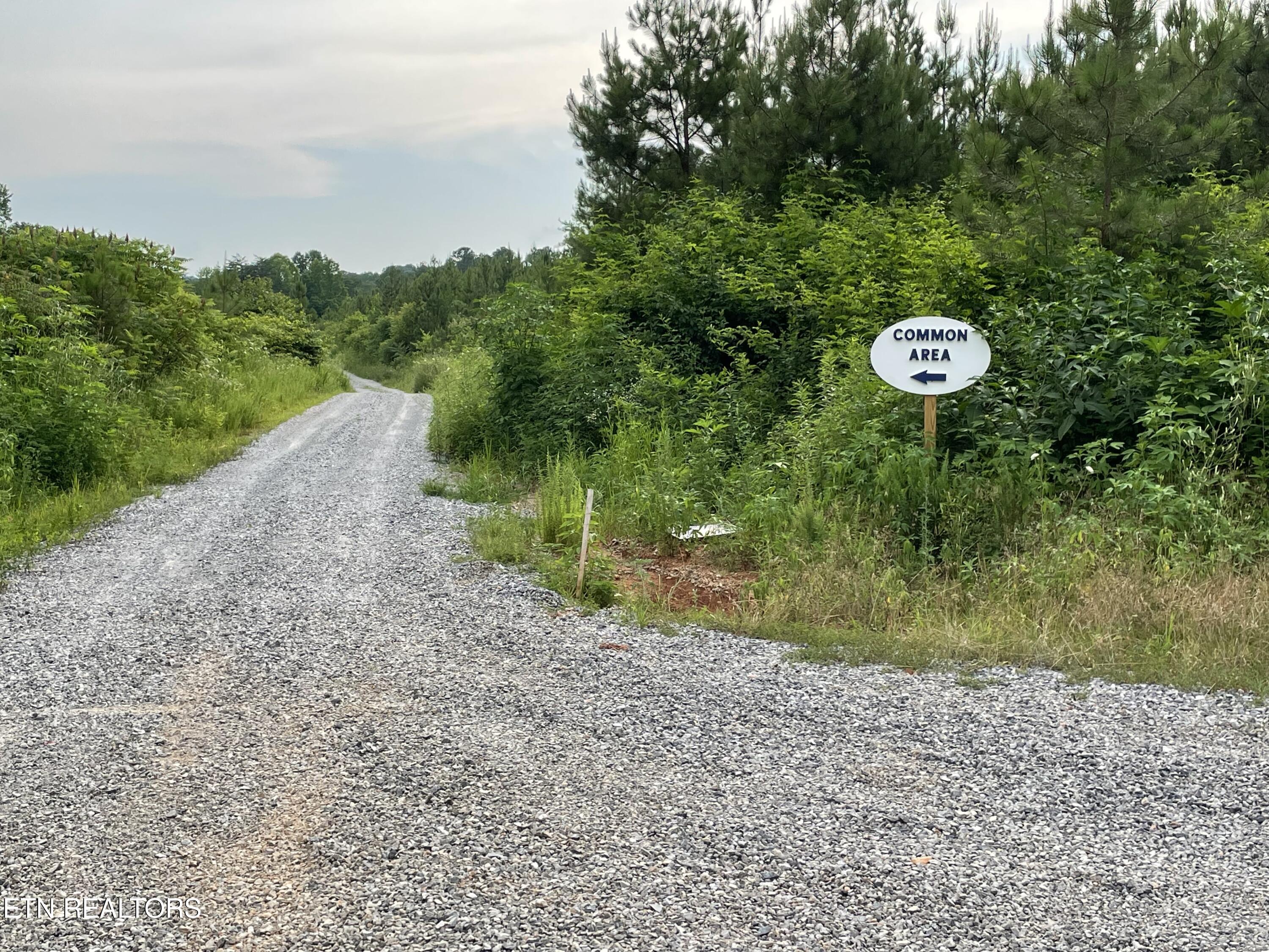 Millsaps Road Madisonville TN 37354