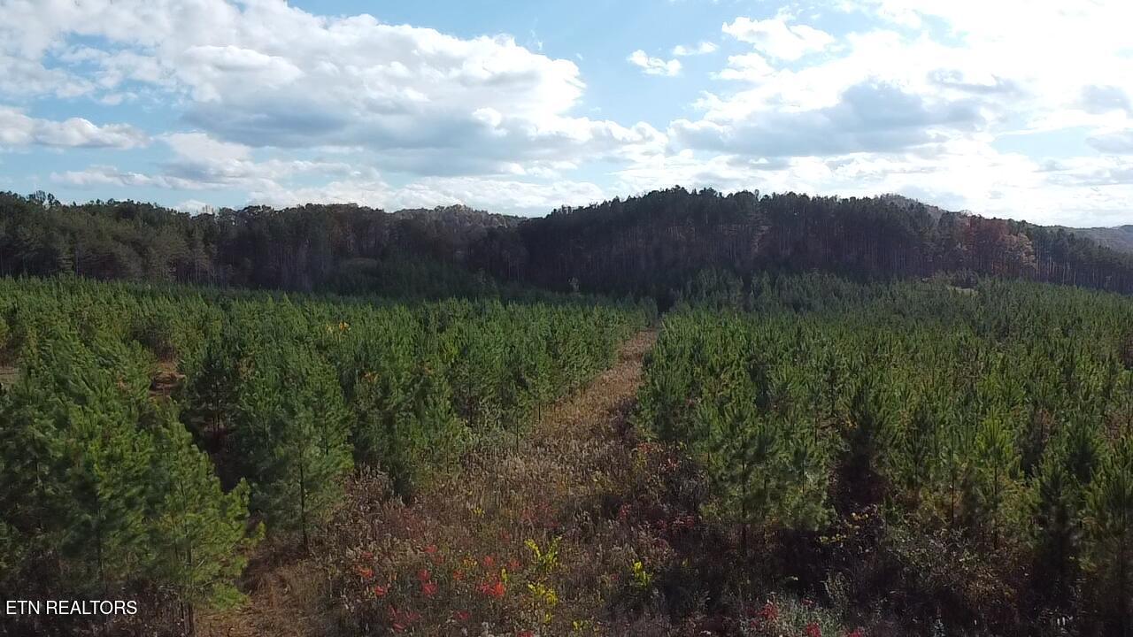 Millsaps Road Madisonville TN 37354