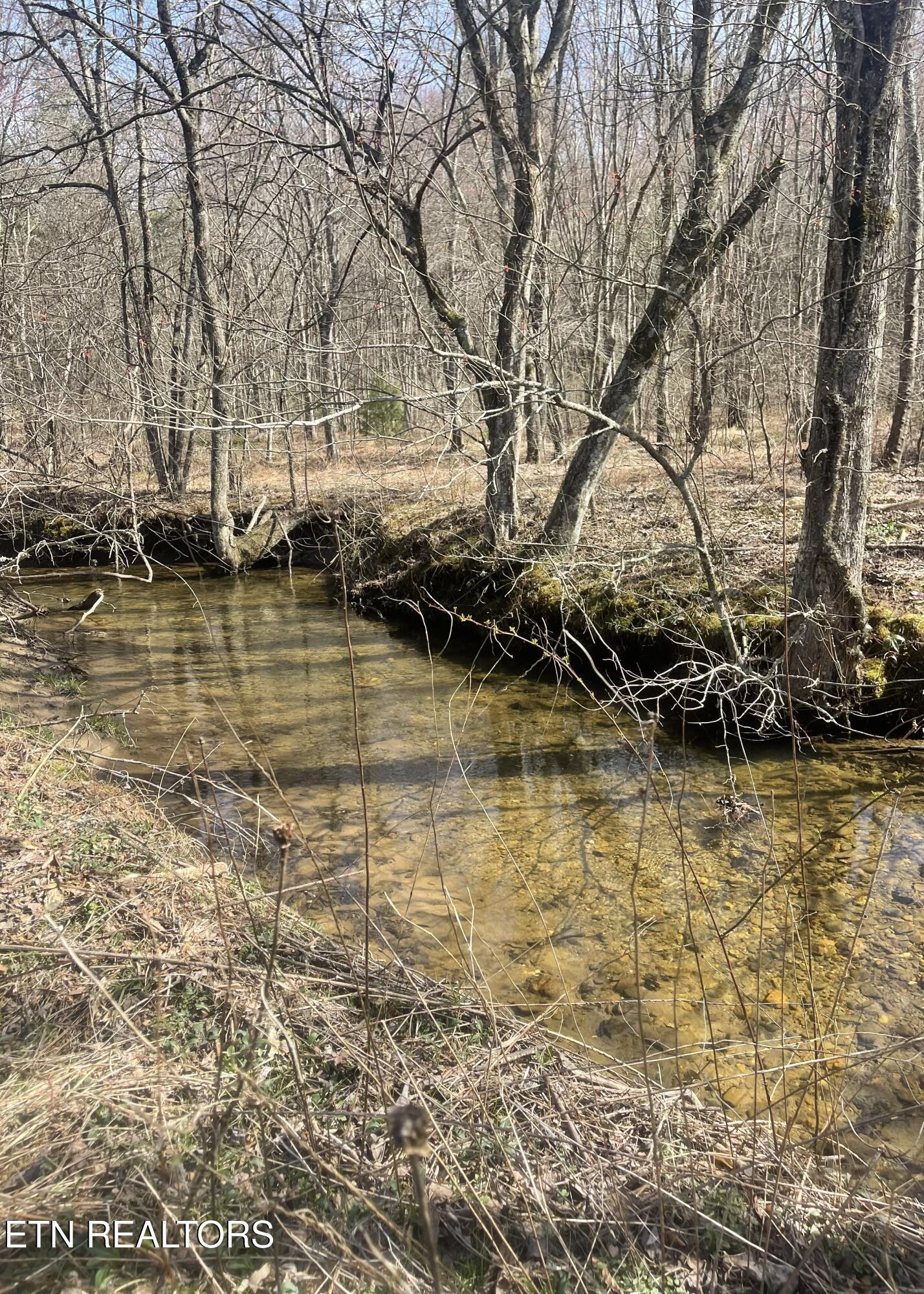 Tilley Road Tellico Plains TN 37385