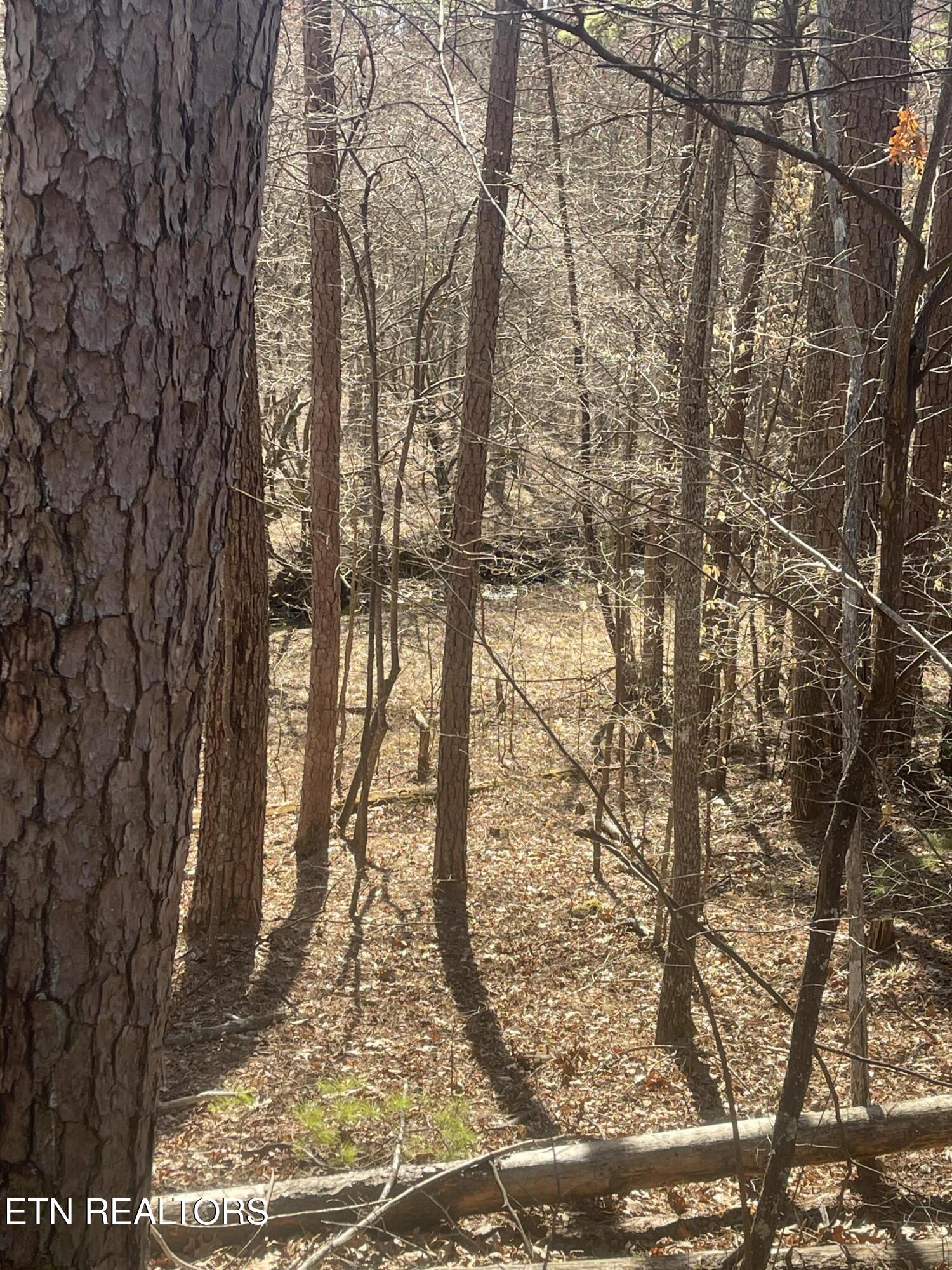 Tilley Road Tellico Plains TN 37385