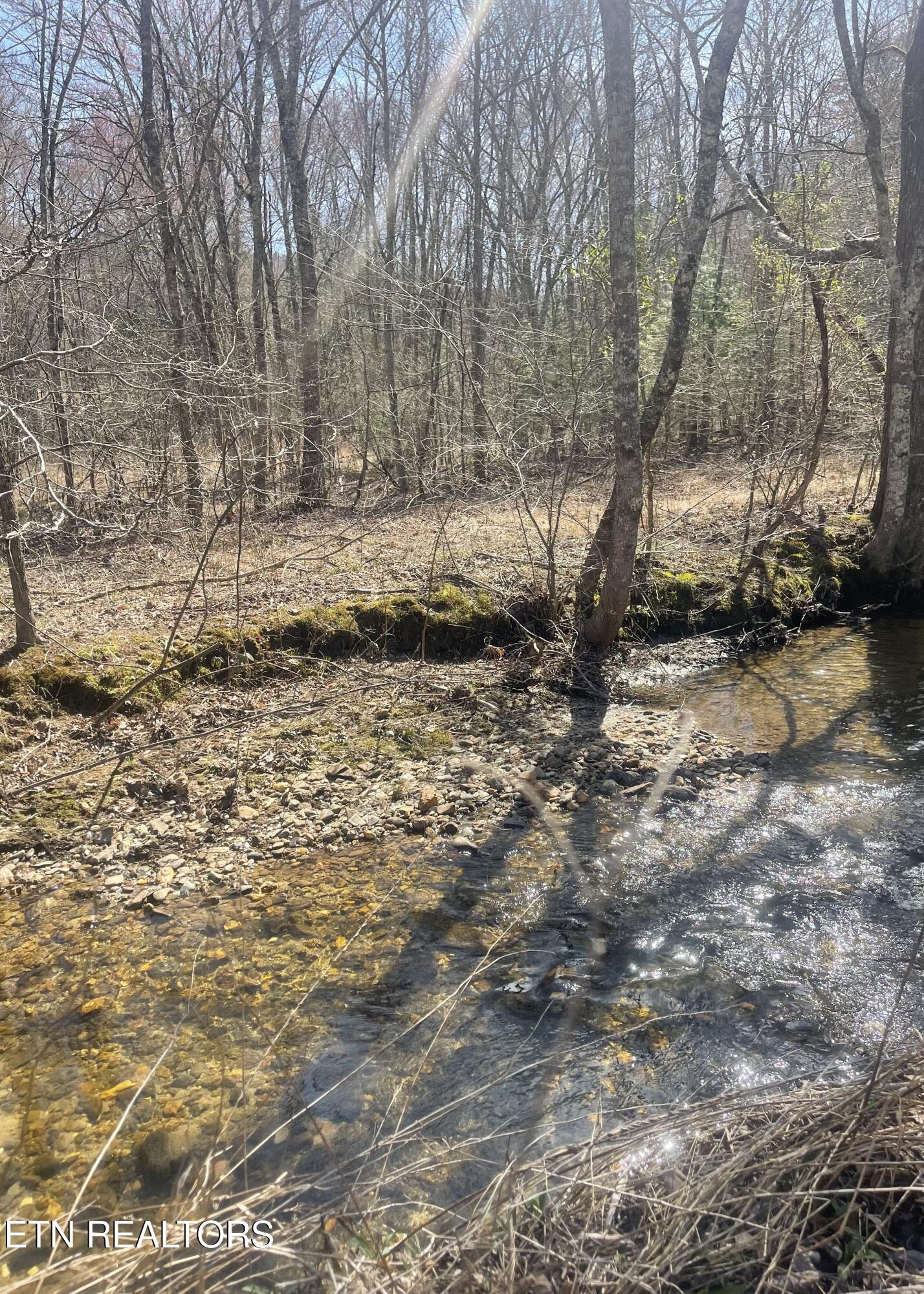 Tilley Road Tellico Plains TN 37385