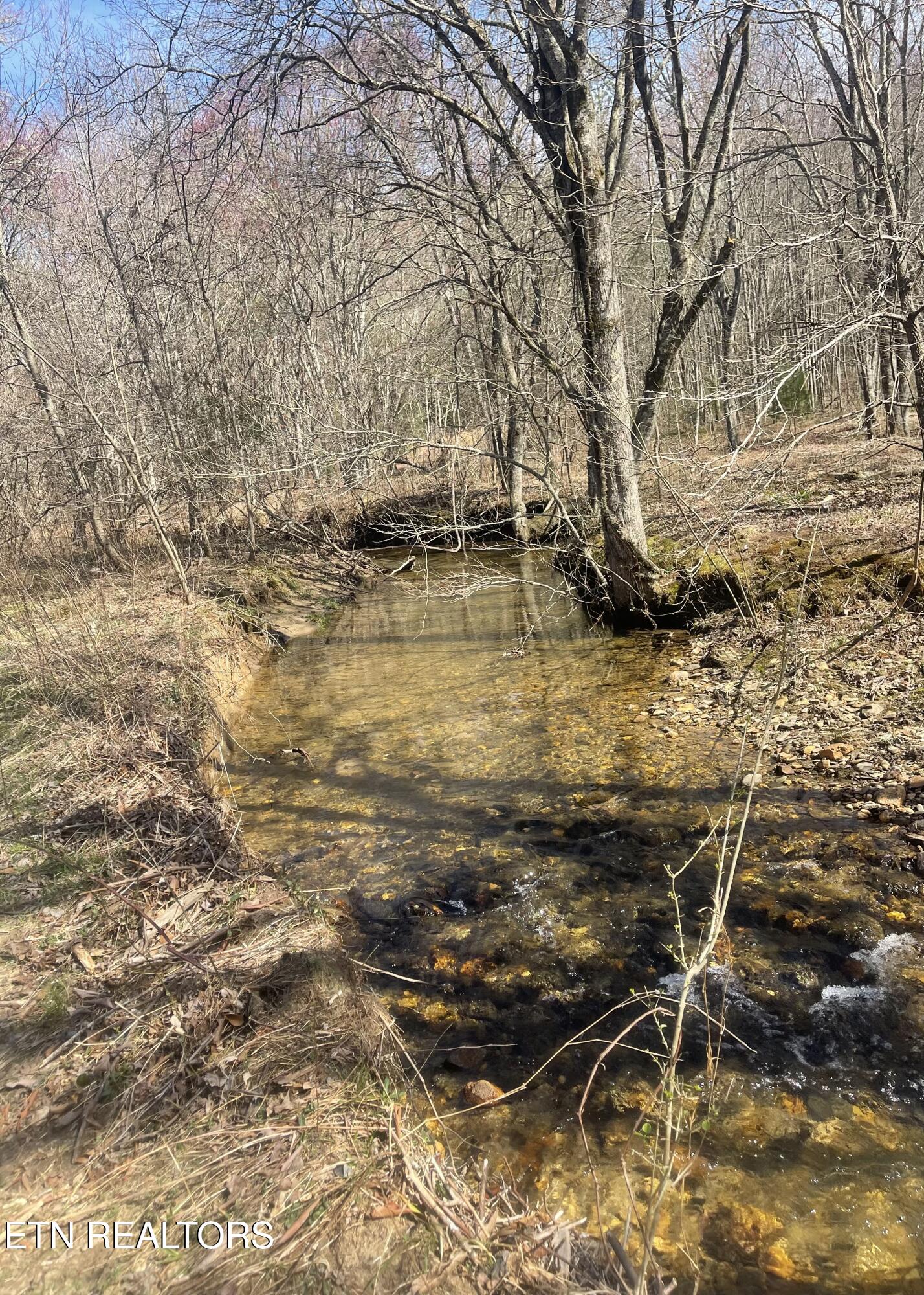 Tilley Road Tellico Plains TN 37385