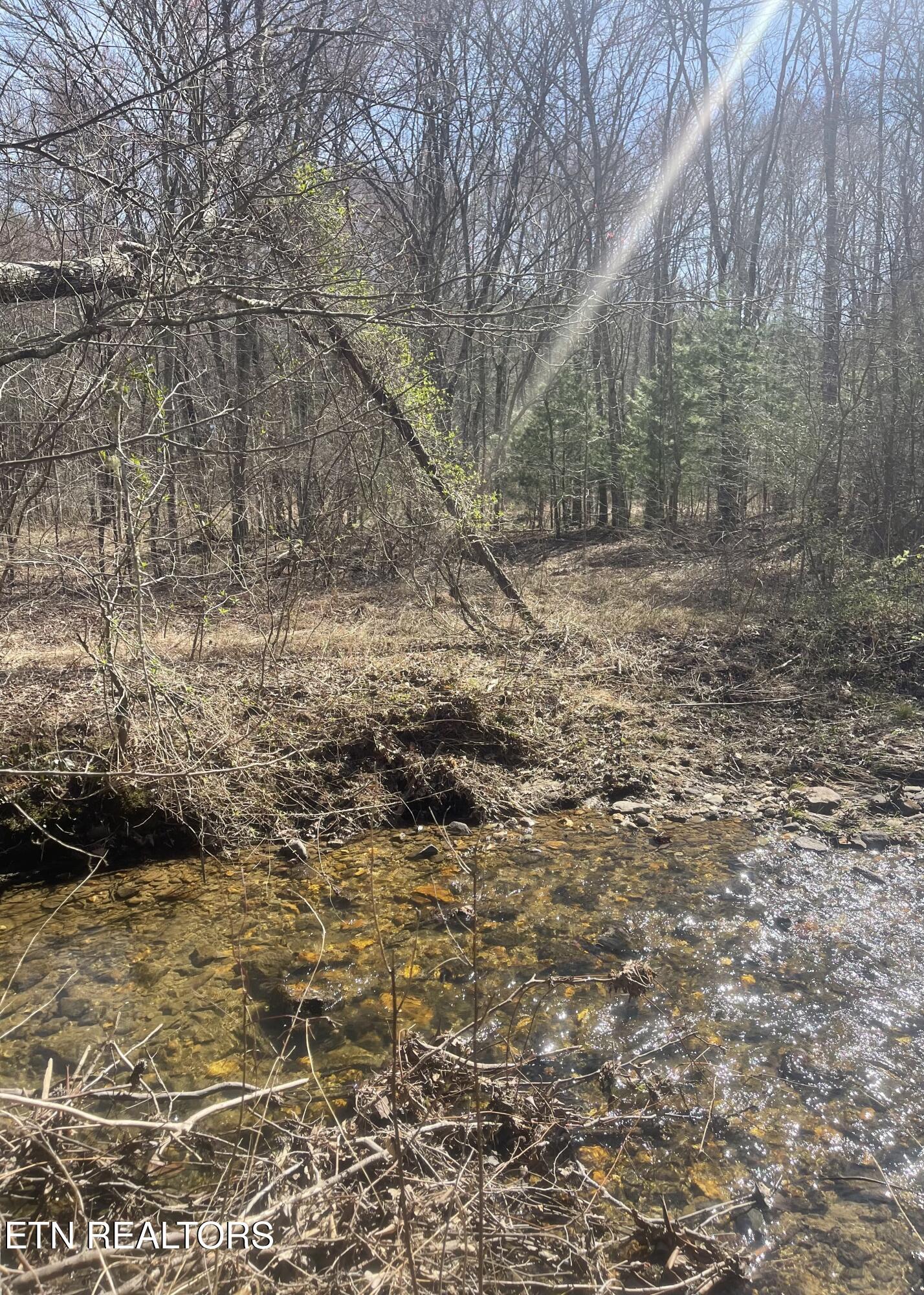 Tilley Road Tellico Plains TN 37385