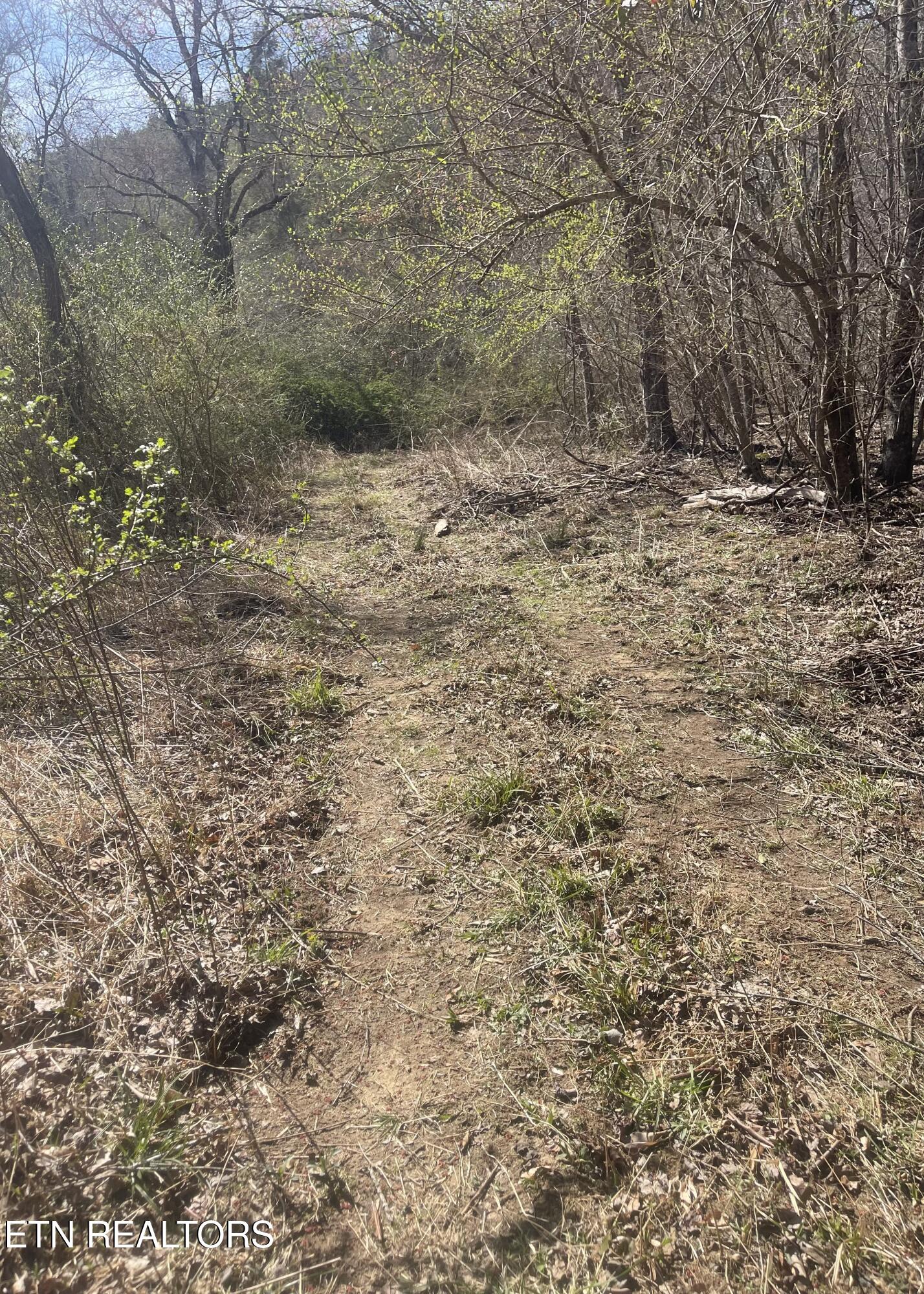 Tilley Road Tellico Plains TN 37385