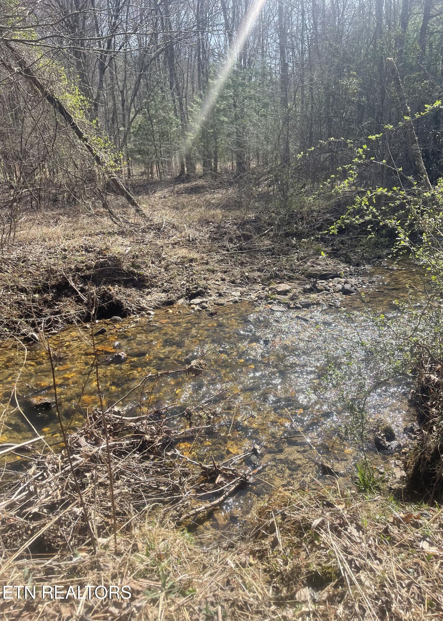 Tilley Road Tellico Plains TN 37385