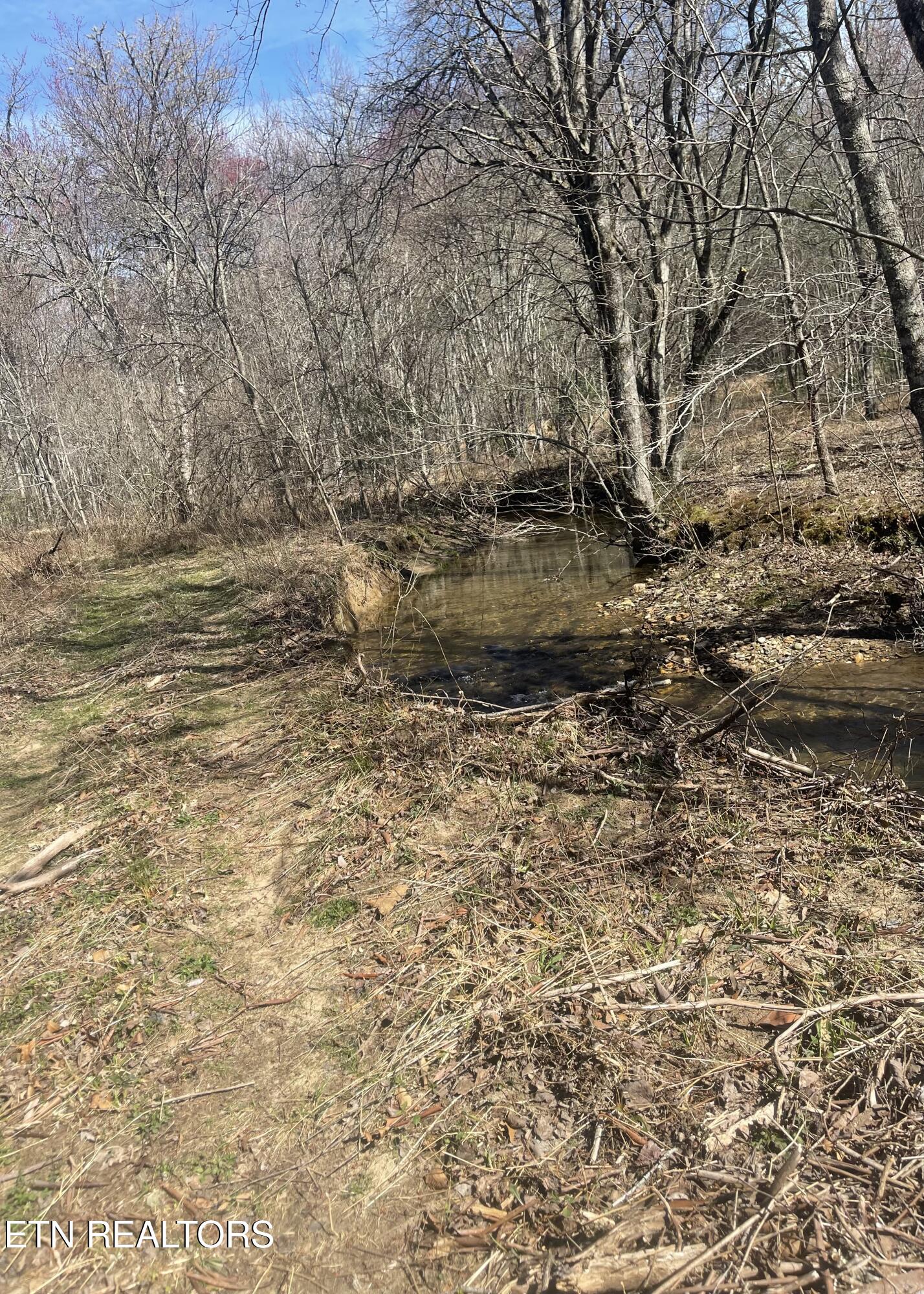 Tilley Road Tellico Plains TN 37385