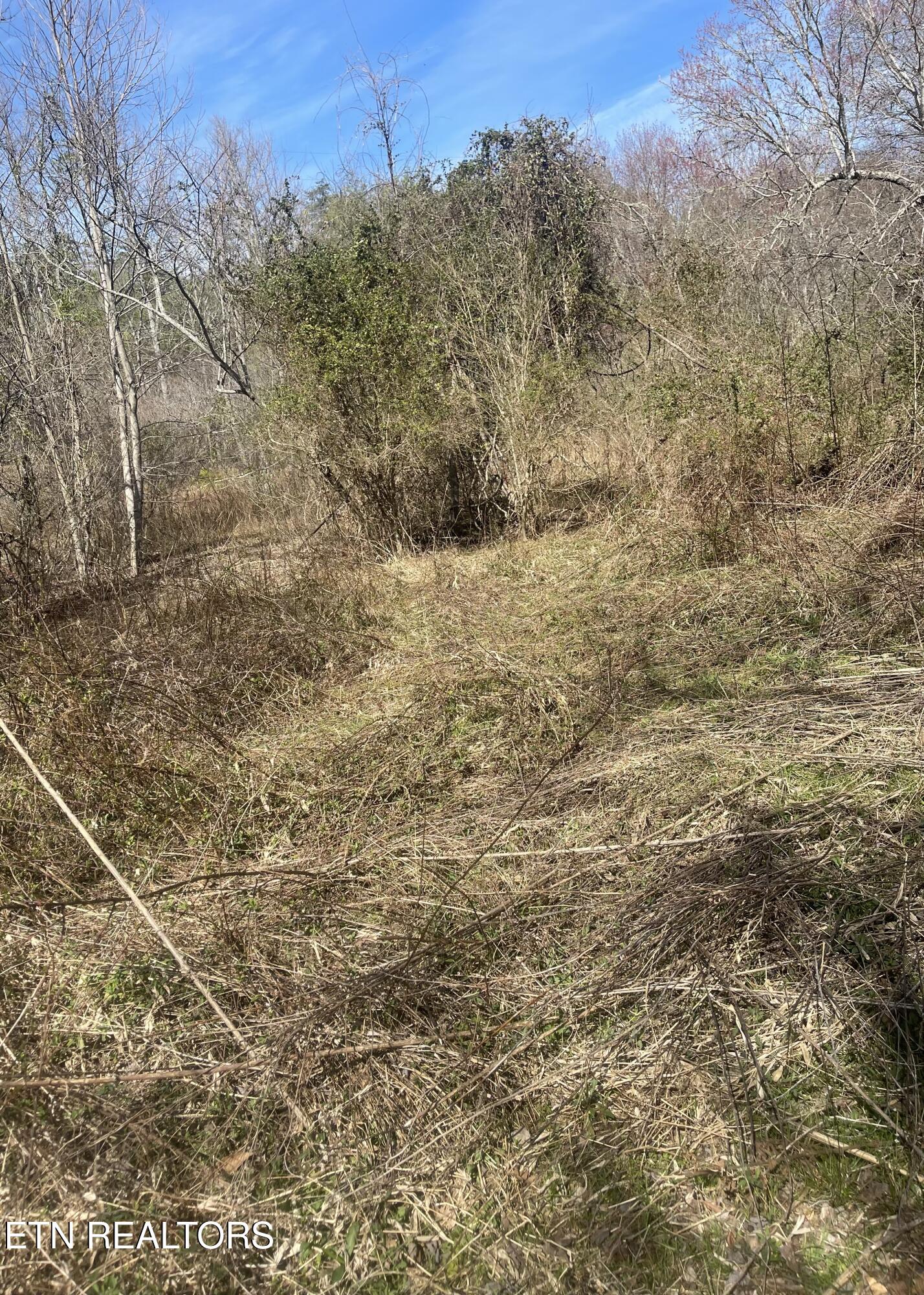 Tilley Road Tellico Plains TN 37385