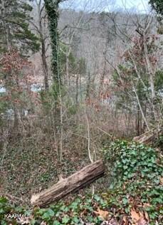 Indian River Boat Dock Road Jacksboro TN 37757