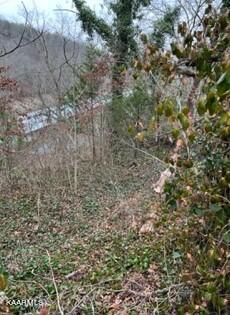 Indian River Boat Dock Road Jacksboro TN 37757