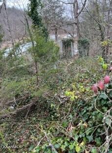 Indian River Boat Dock Road Jacksboro TN 37757