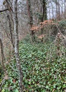 Indian River Boat Dock Road Jacksboro TN 37757