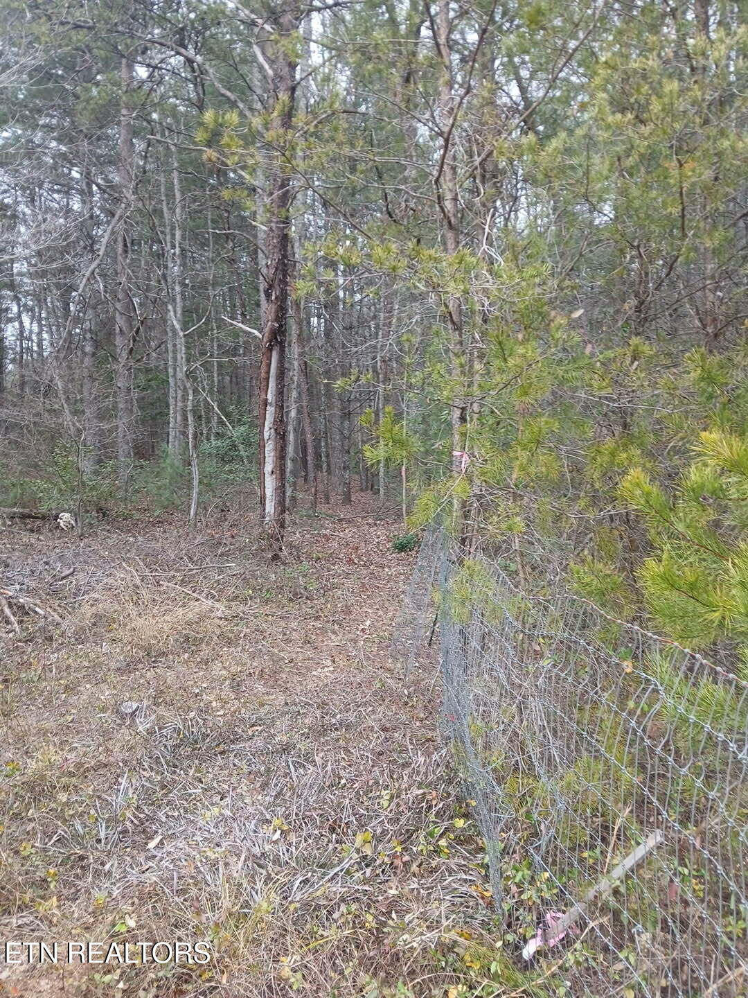 Wild Magnolia Jamestown TN 38556
