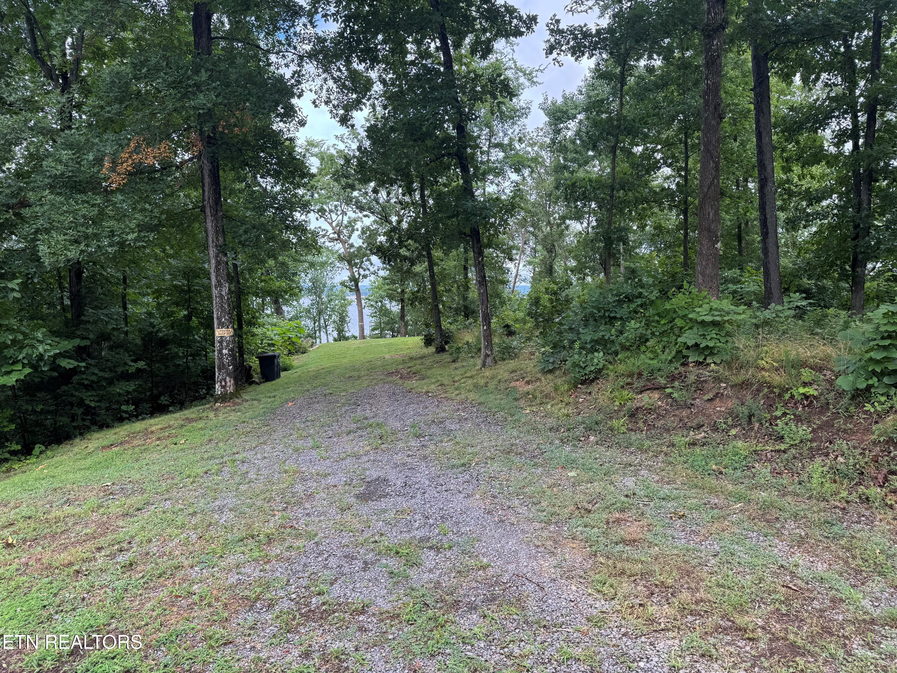 Bonnevista Drive White Pine TN 37890