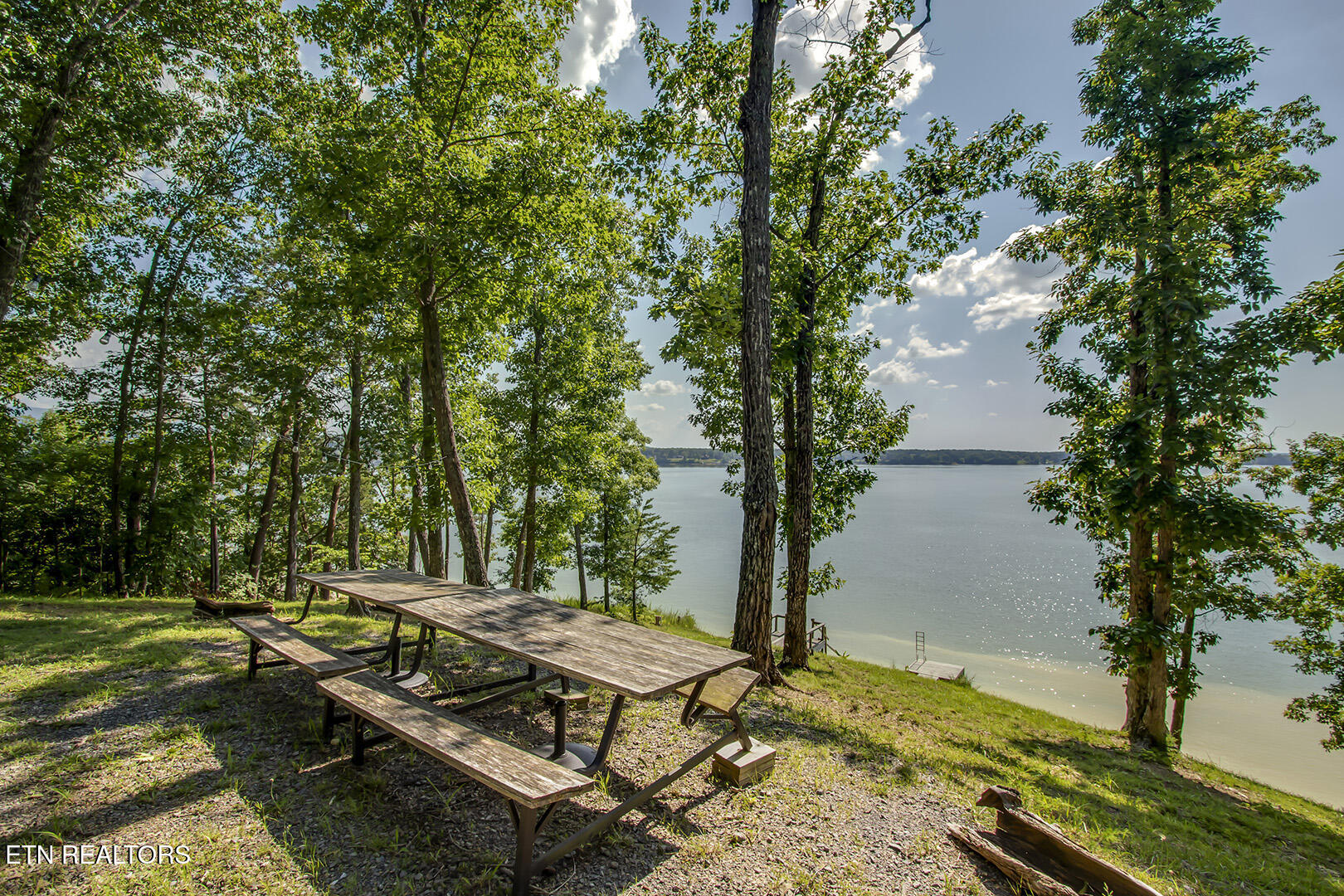 564 Bonne Vista Drive White Pine TN 37890