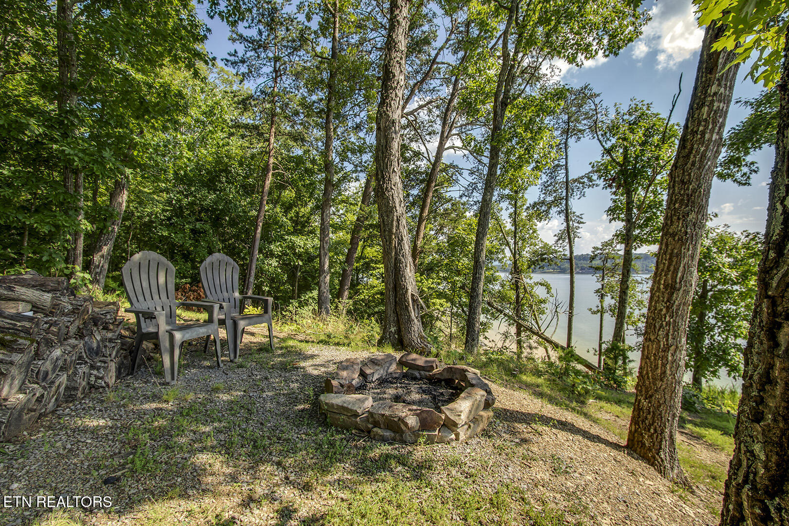 564 Bonne Vista Drive White Pine TN 37890