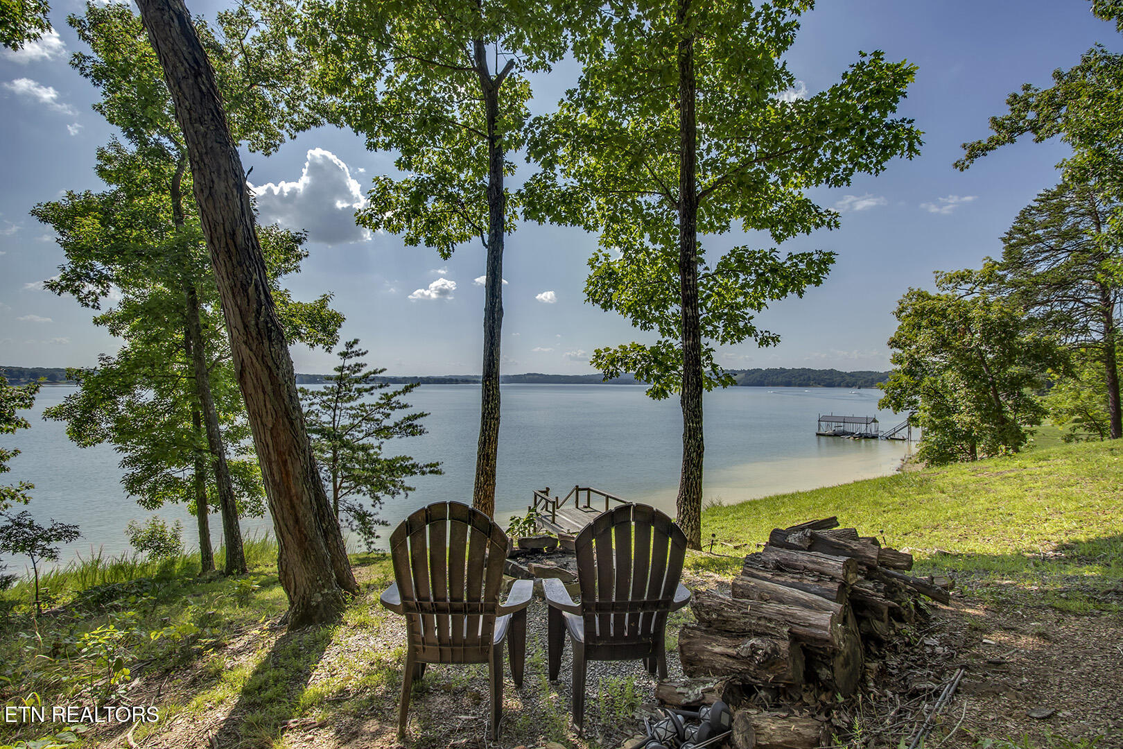 564 Bonne Vista Drive White Pine TN 37890