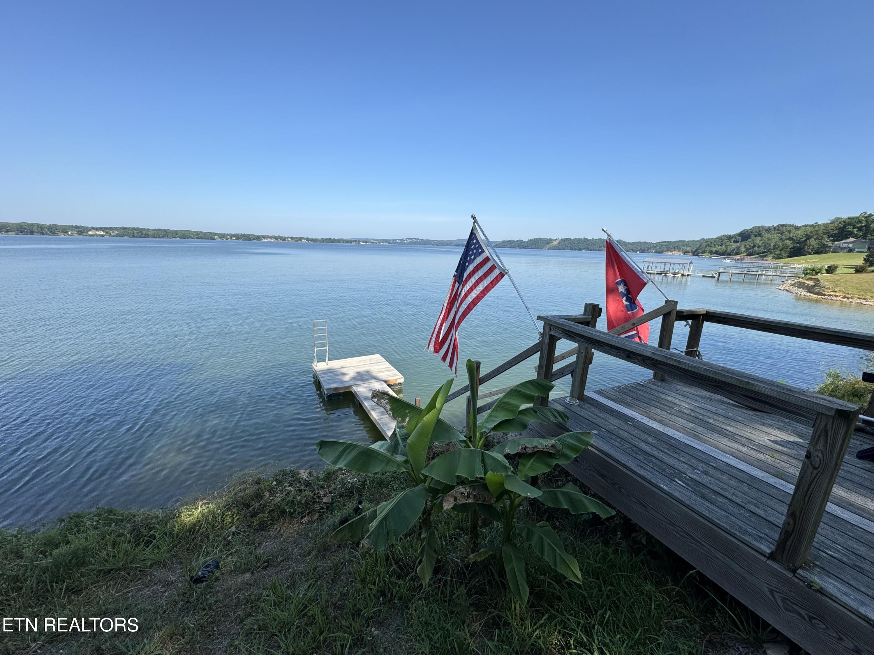 Bonnevista Drive White Pine TN 37890
