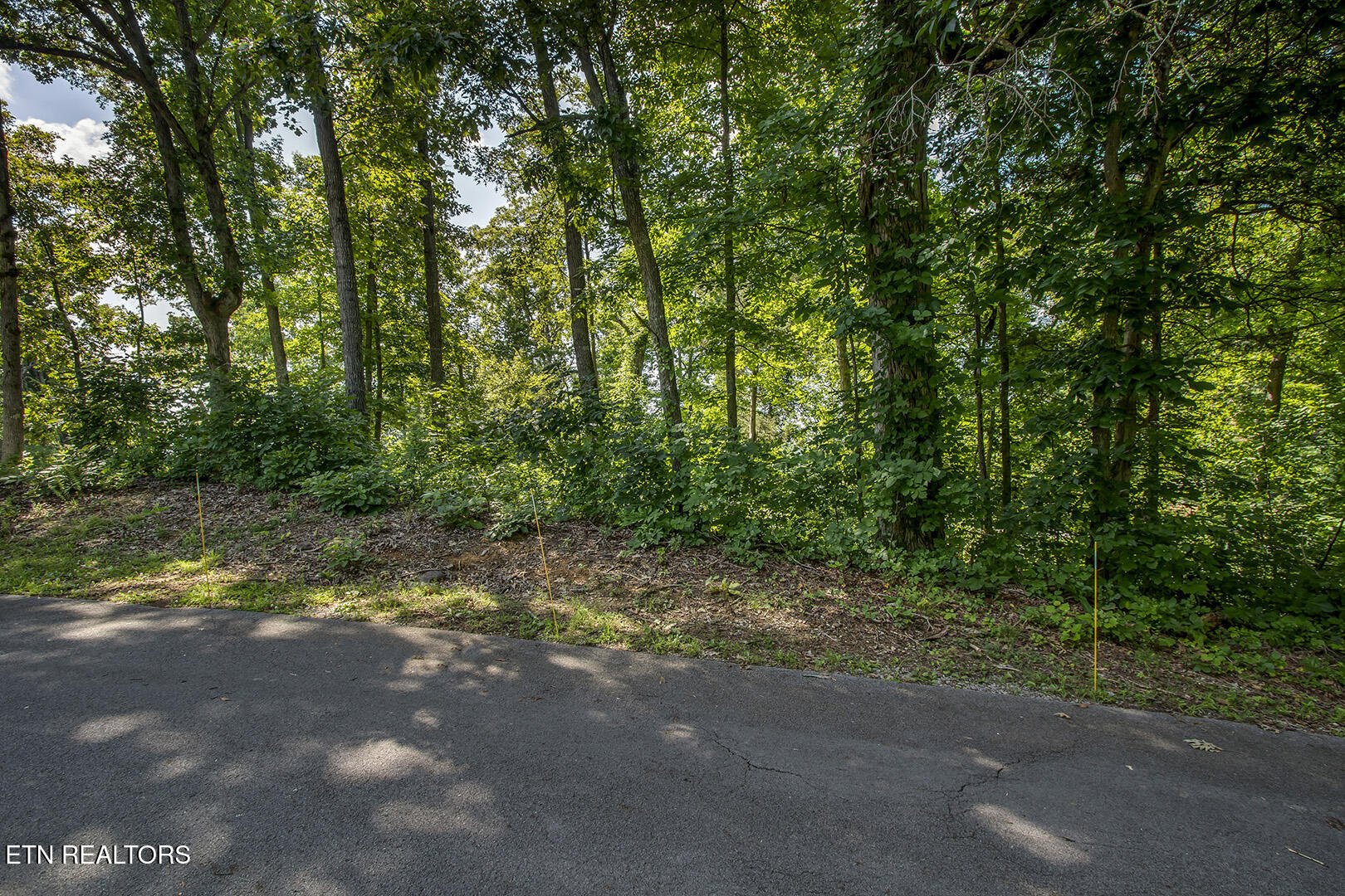 564 Bonne Vista Drive White Pine TN 37890
